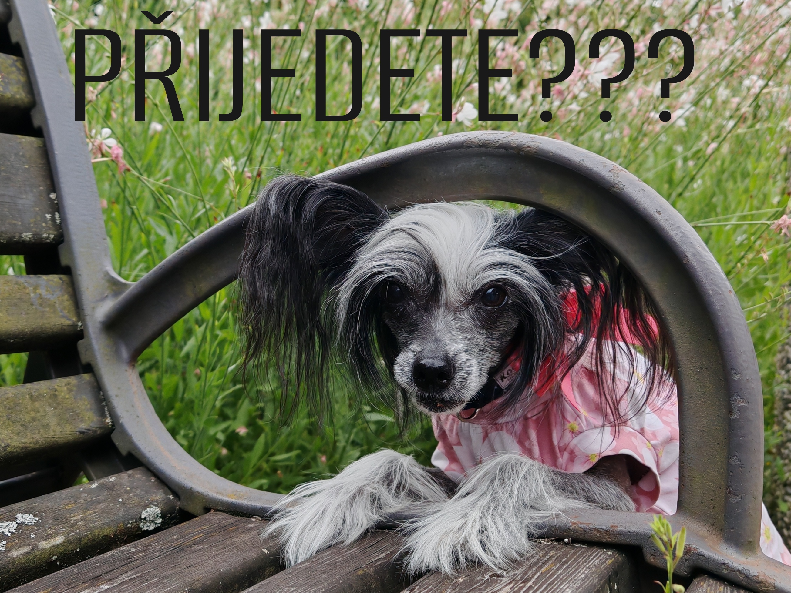 Penzion U Sýkorů foto 2