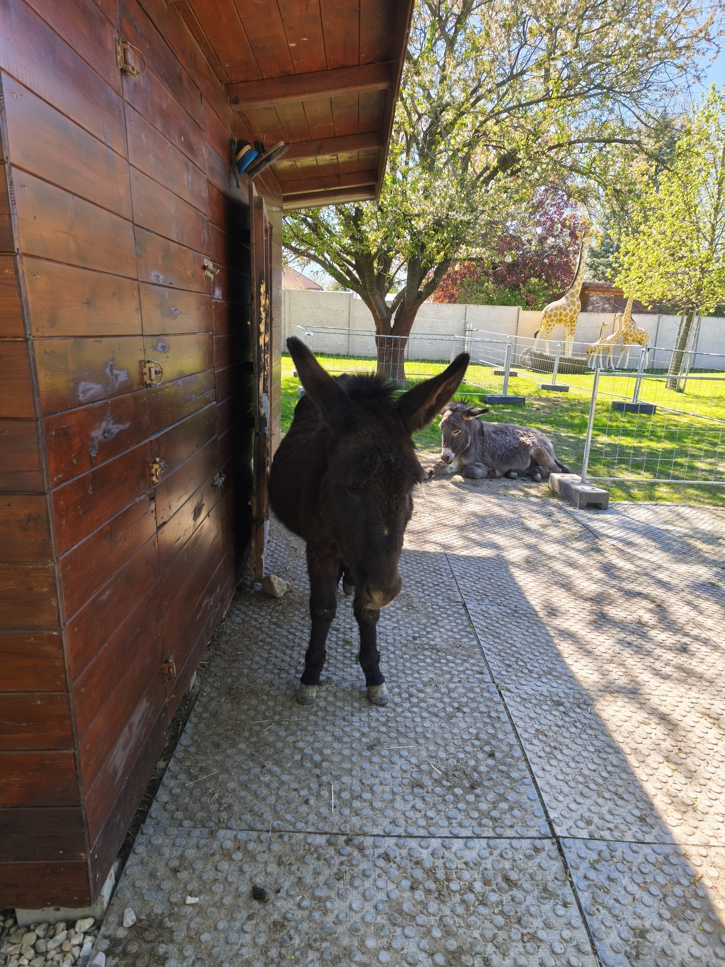 Dřevěná Exotika na ranči Bítovany foto 2