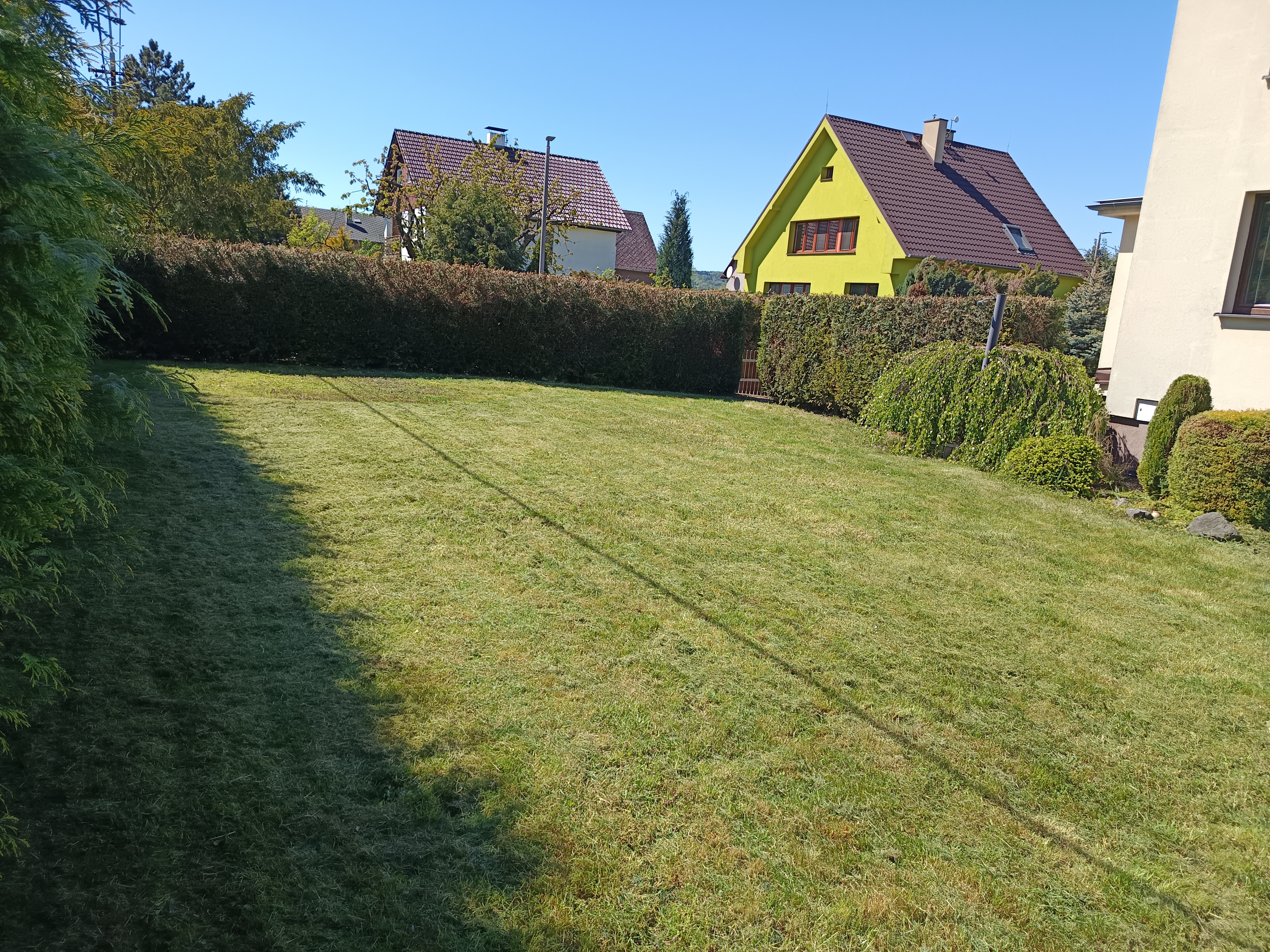 Kácení rizikových stromů - Arborista Lukáš Blažek s.r.o. foto 6