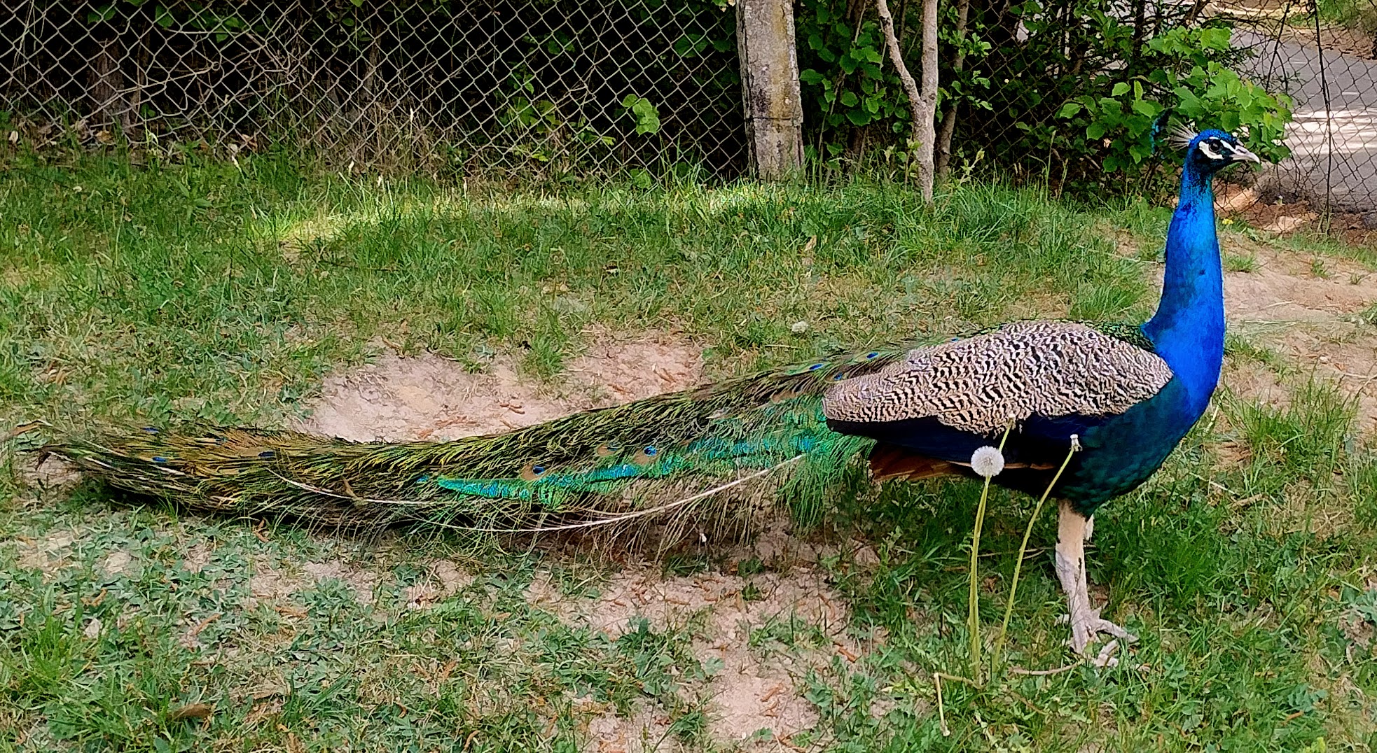 Hospůdka na kasárnách foto 2