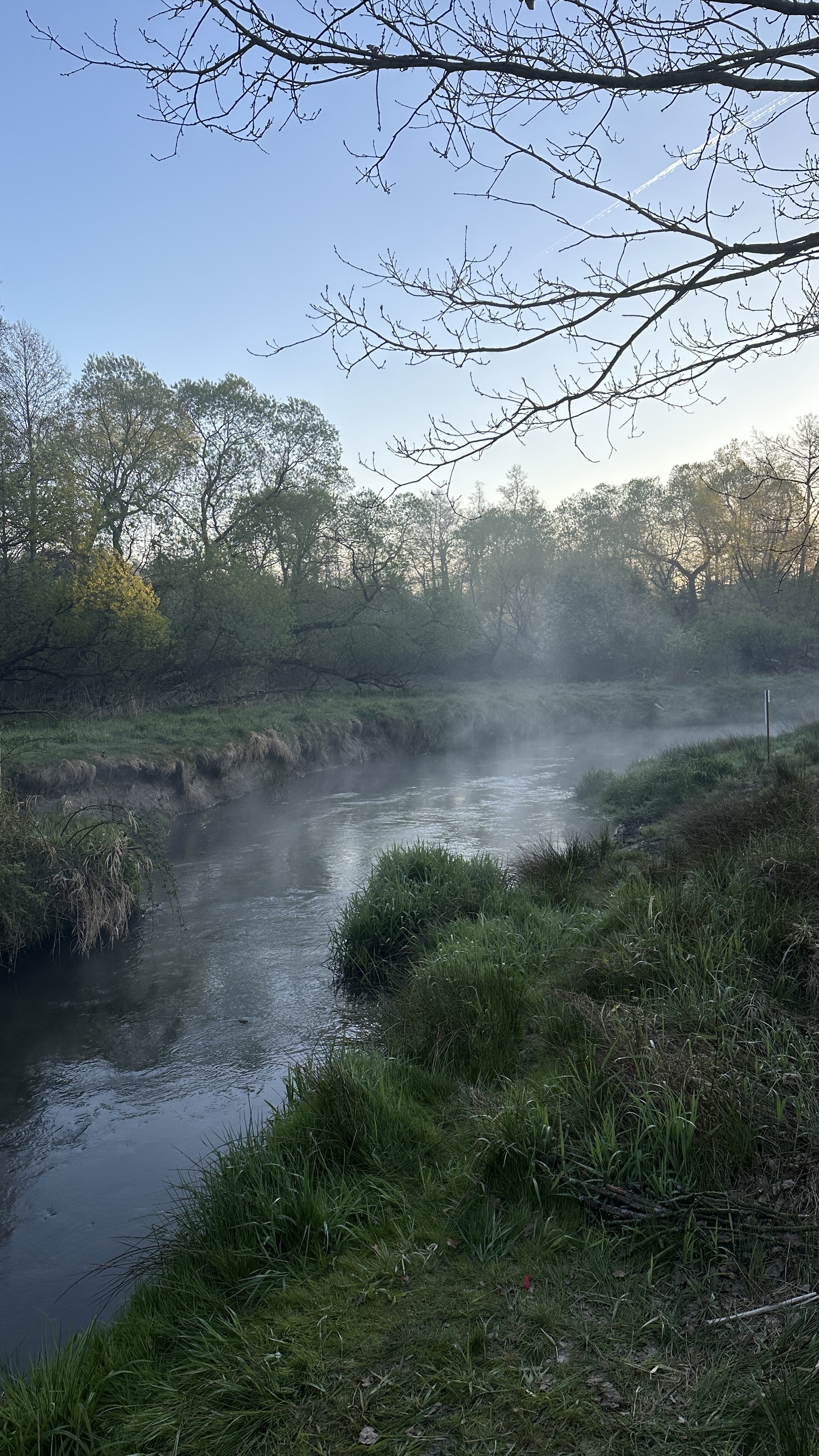 Tábořiště Boreček foto 2