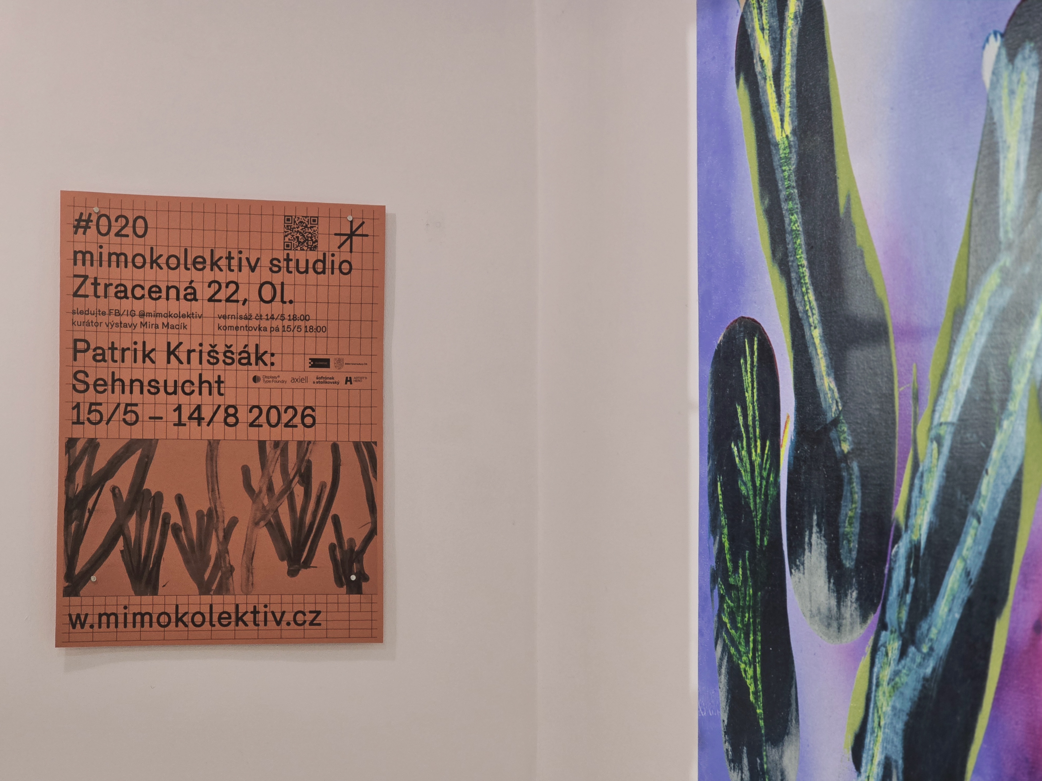 mimokolektiv foto 5