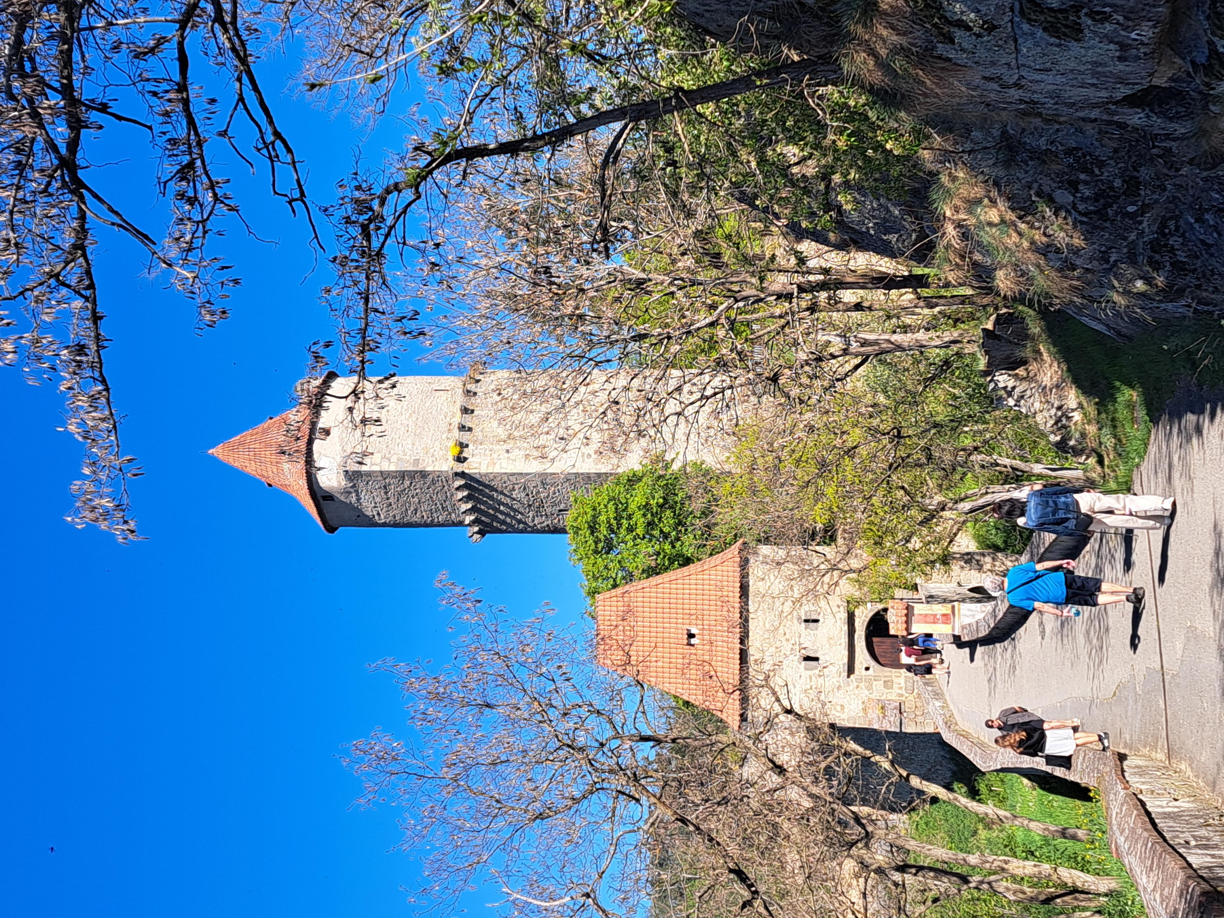 Restaurace u Parkoviště hradu Zvíkov foto 4