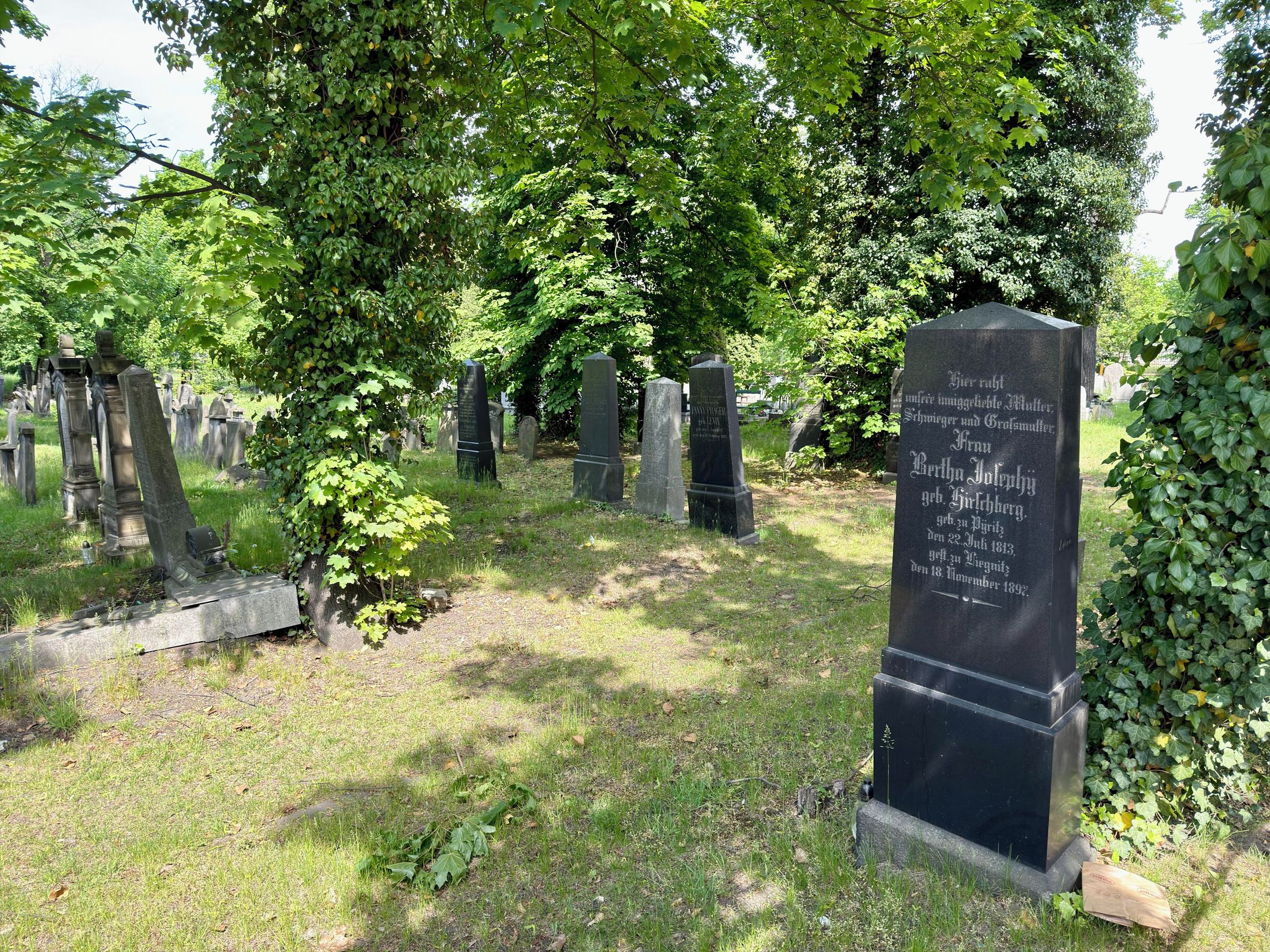 Cmentarz żydowski Legnica
