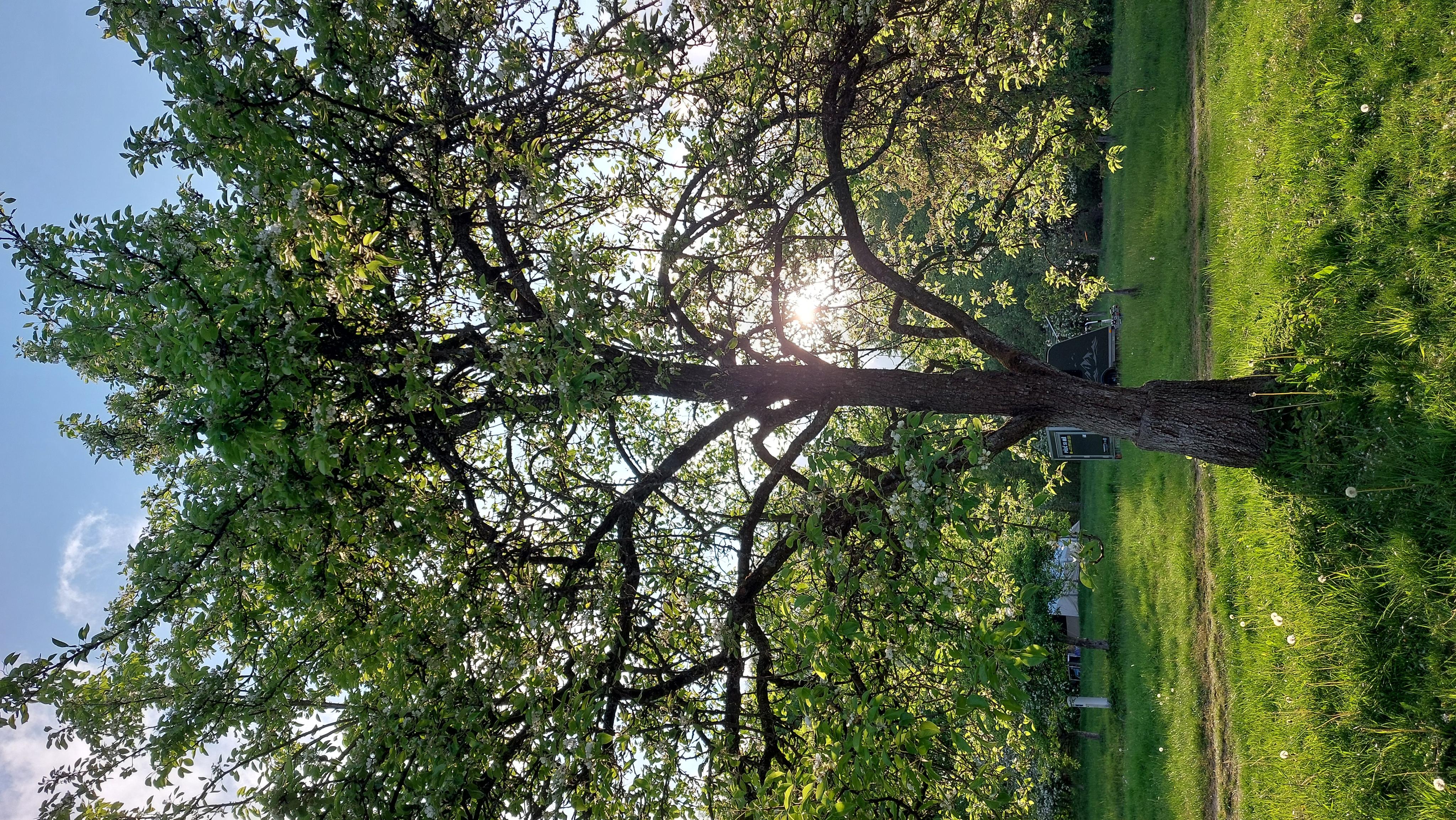 Kemp Javořice foto 4