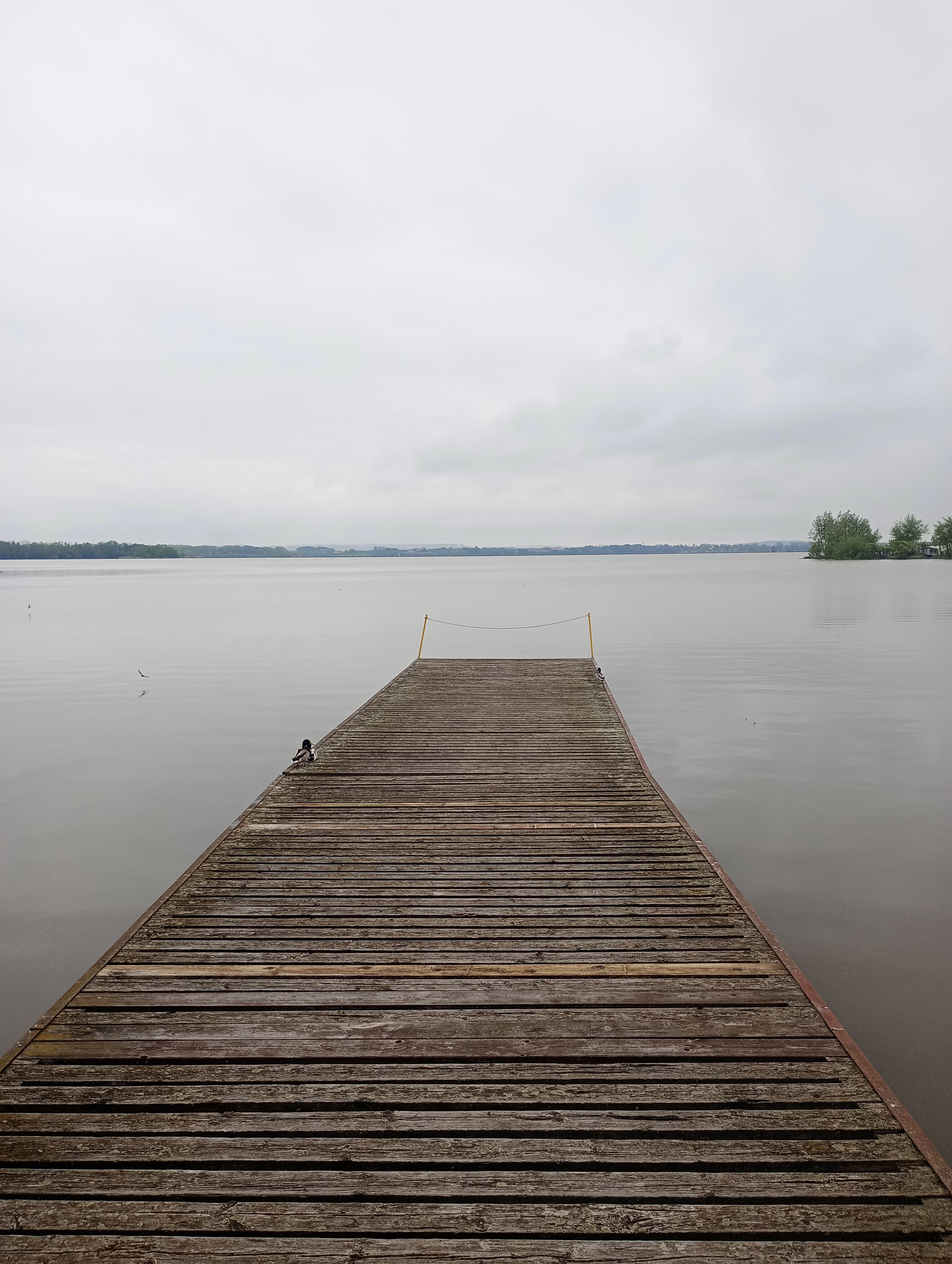 Koupaliště Rozkoš foto 3