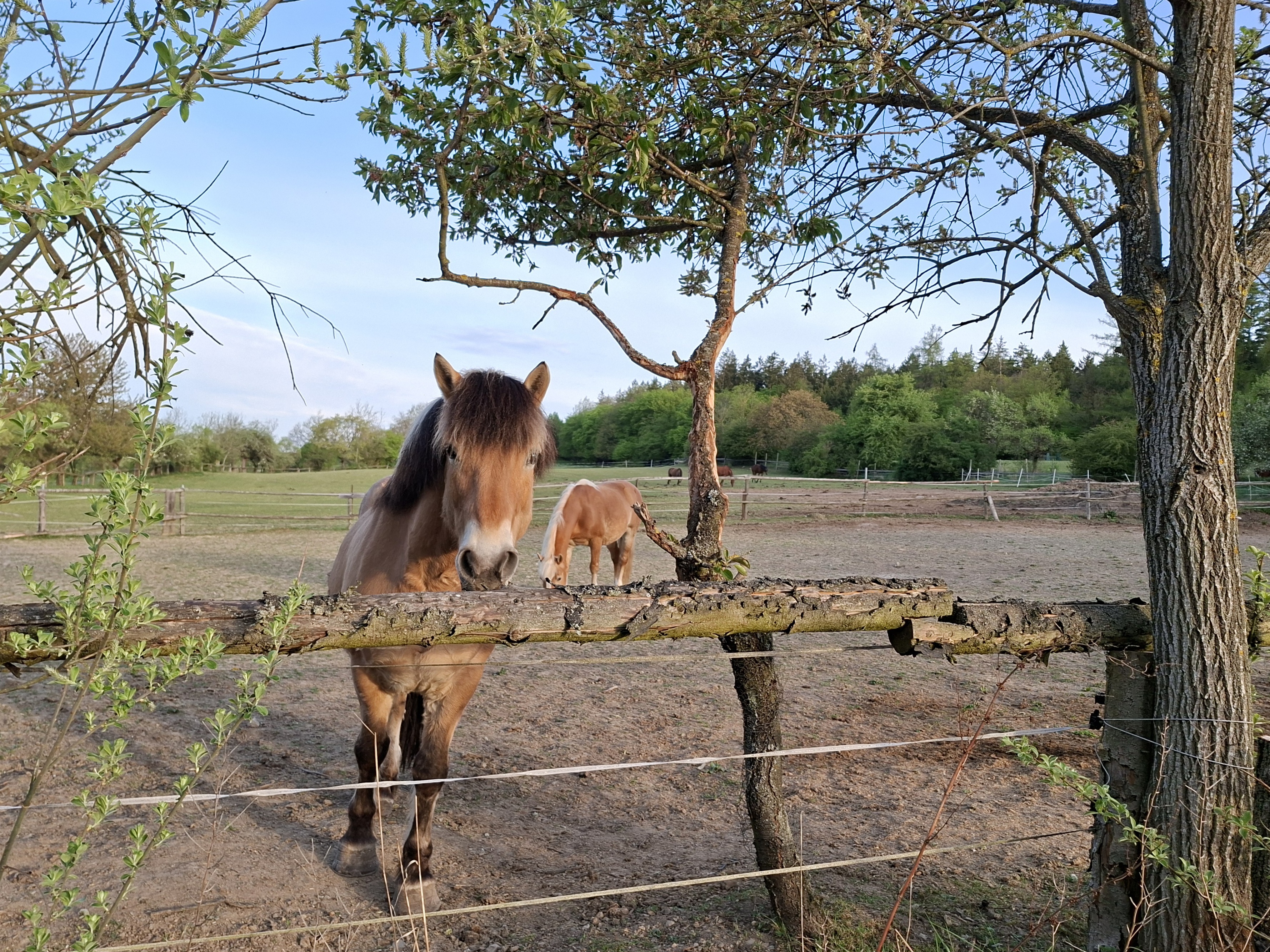 Ranč Mítov foto 1