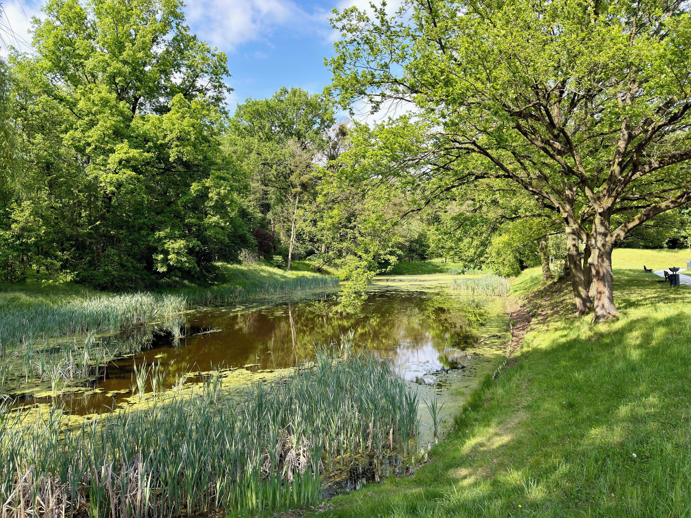 Staw Złotnicki
