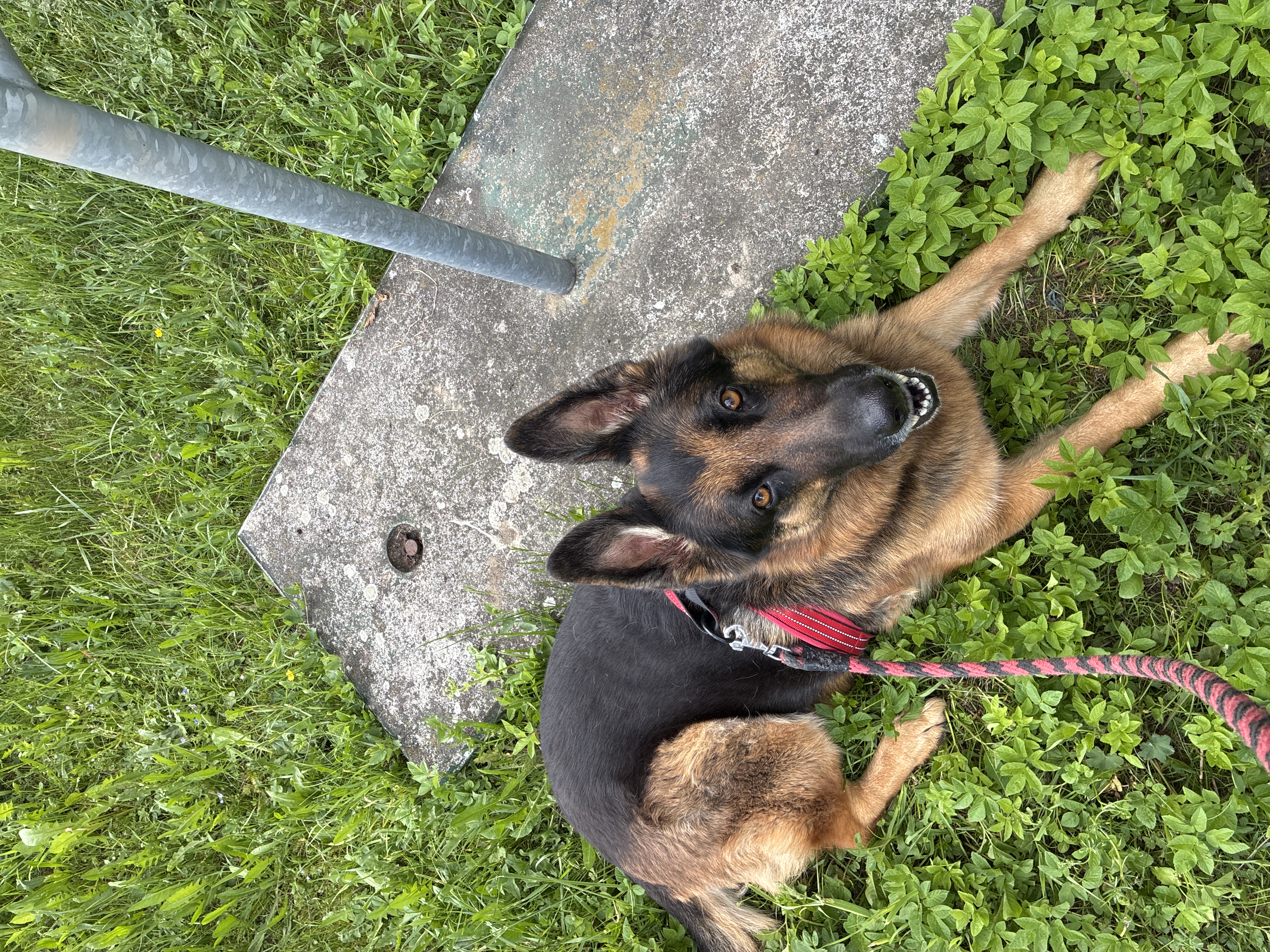 FyziPet foto 5