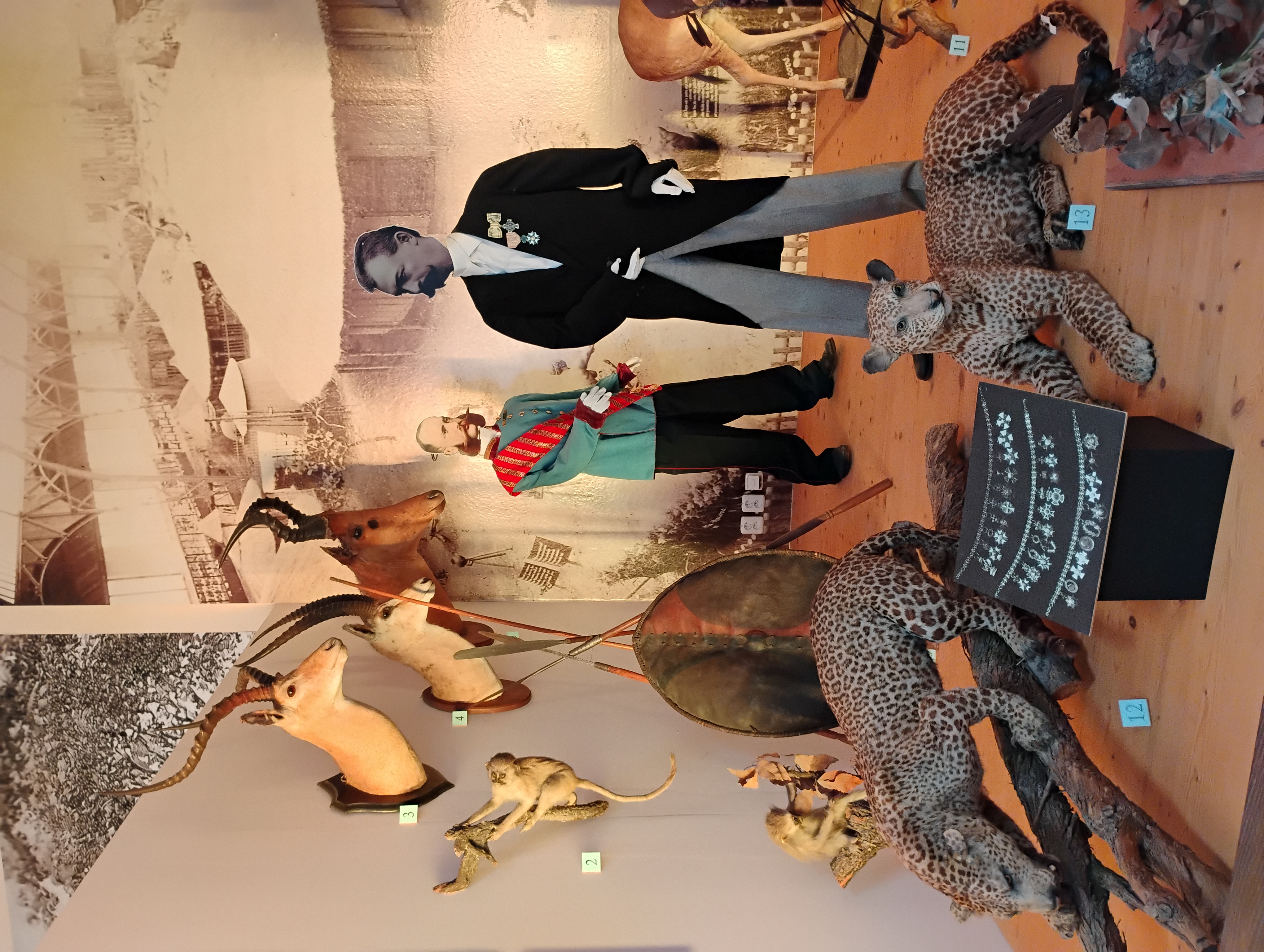 Africké muzeum Dr. Emila Holuba foto 2