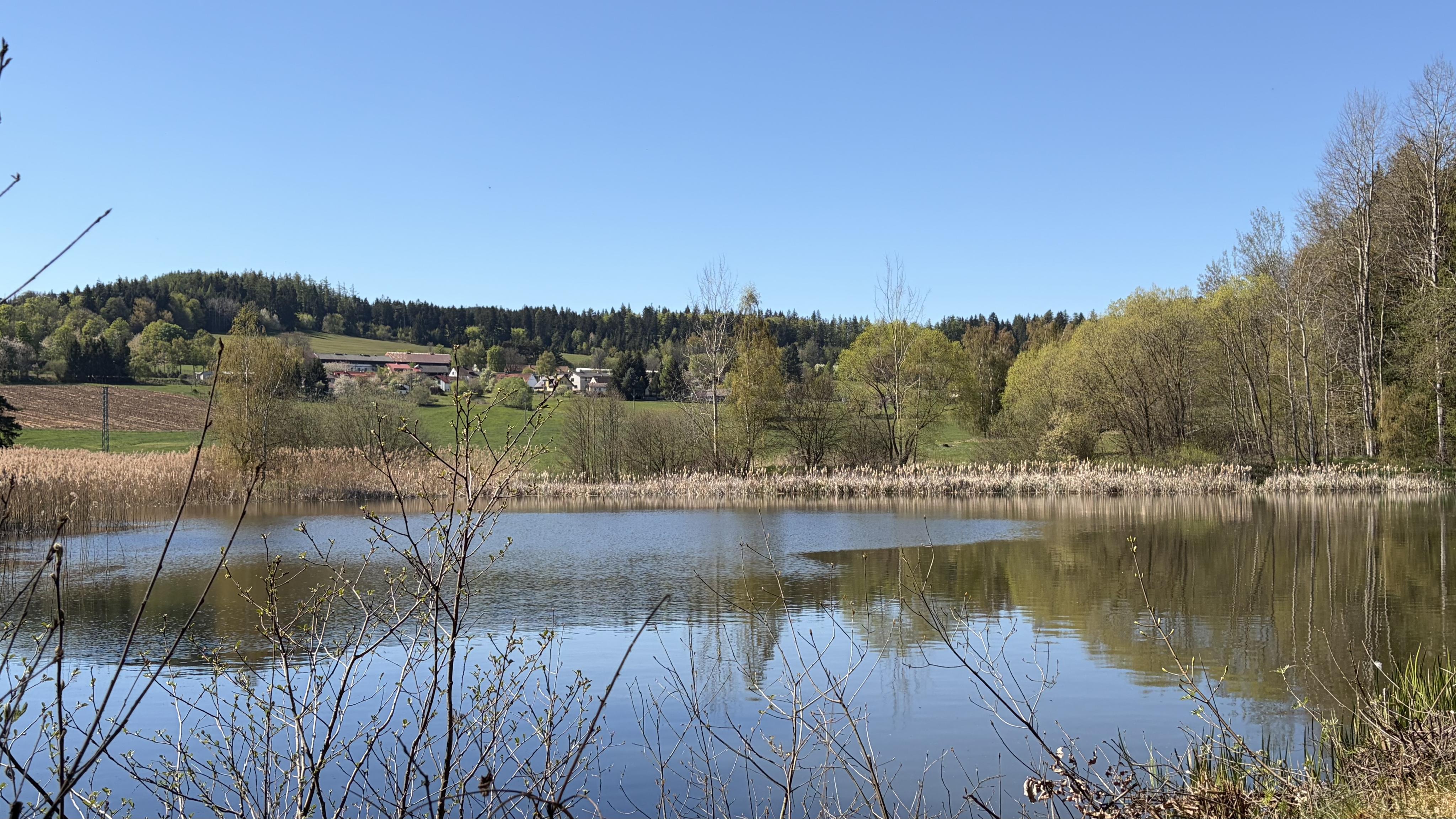 Junák - český skaut, středisko Douglaska Praha - klubovna foto 1