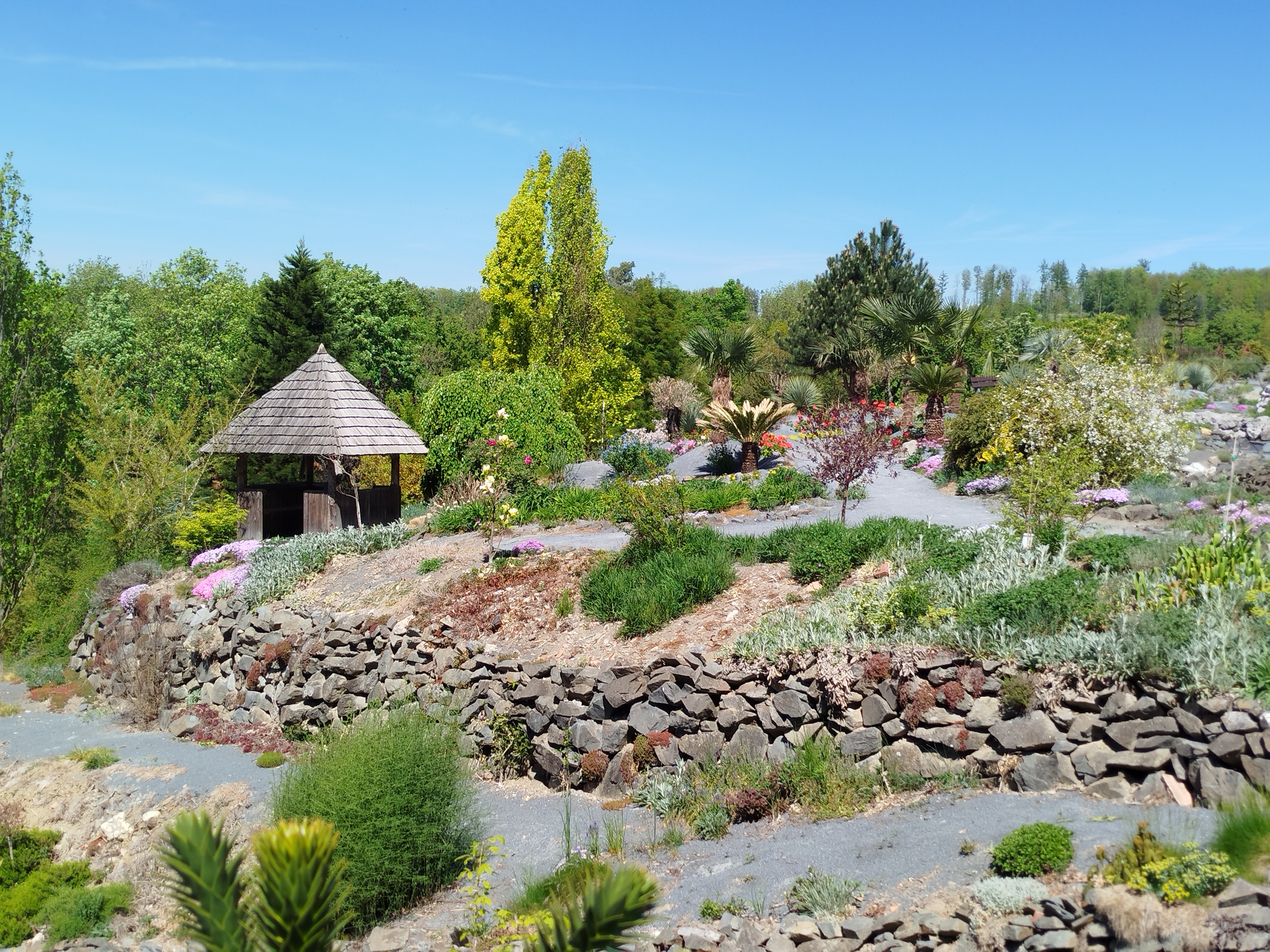Ing. Radim Slabý - Arboretum Makču Pikču foto 6