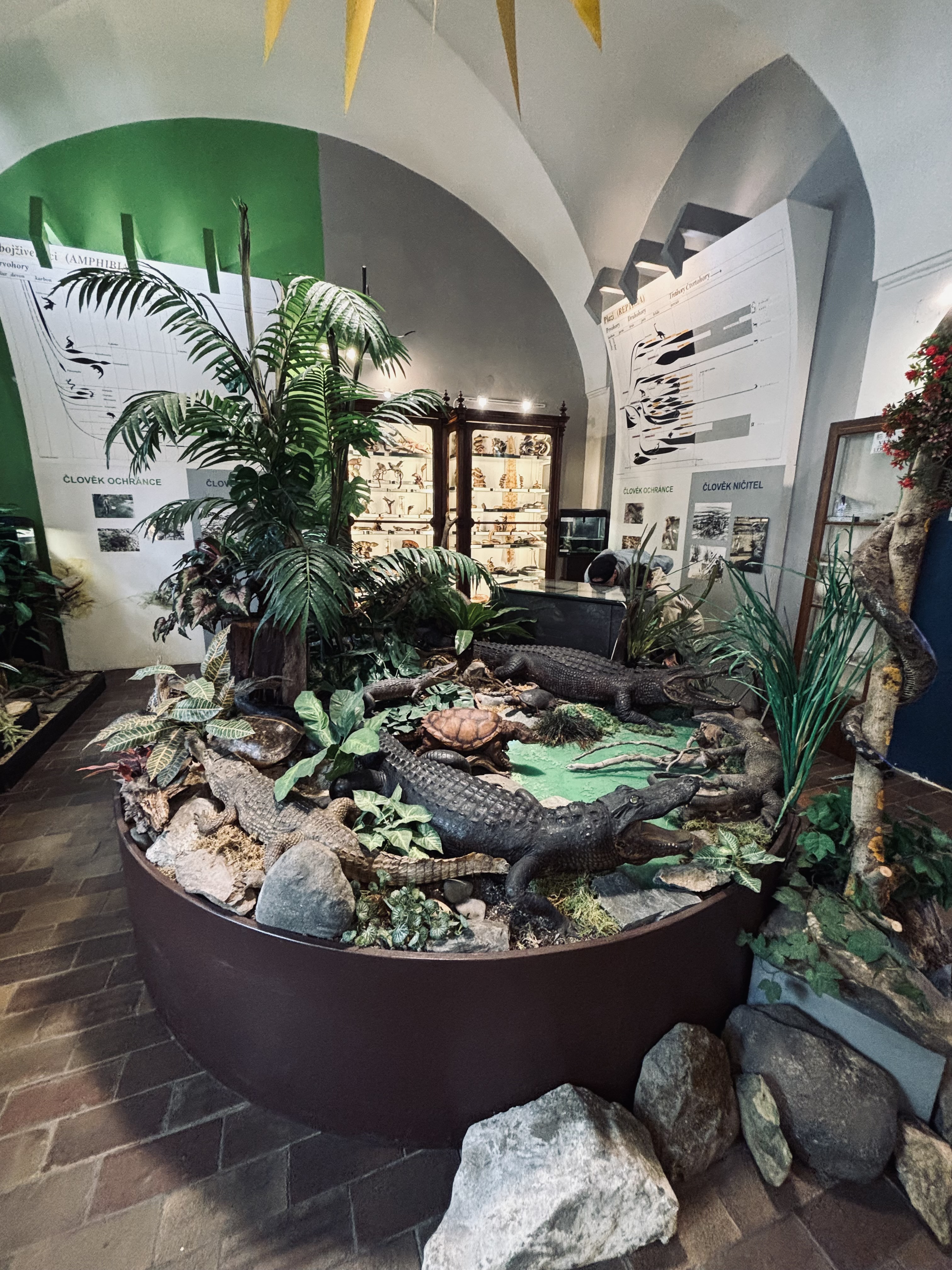 Vlastivědné muzeum a galerie v České Lípě foto 2