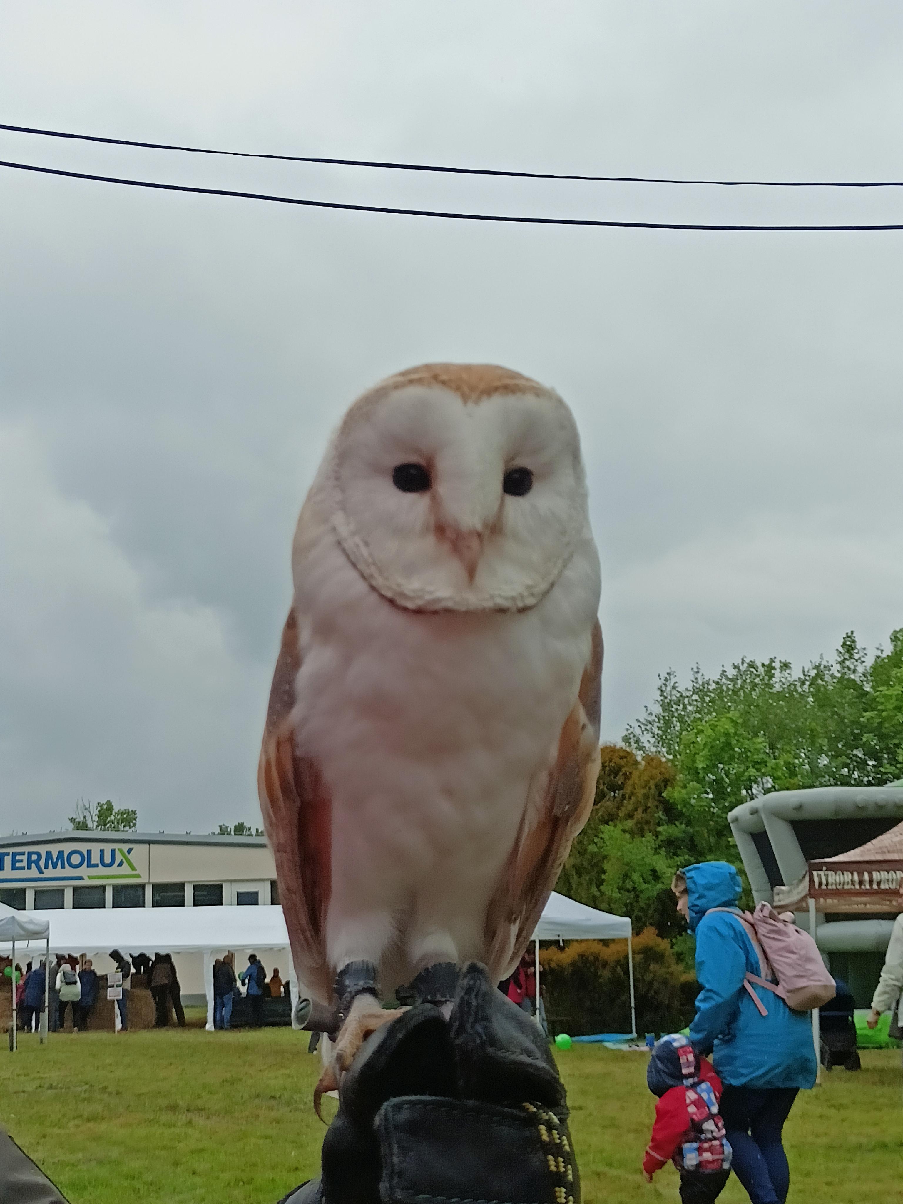 Agropodnik, Valašské Meziříčí, a.s. foto 1