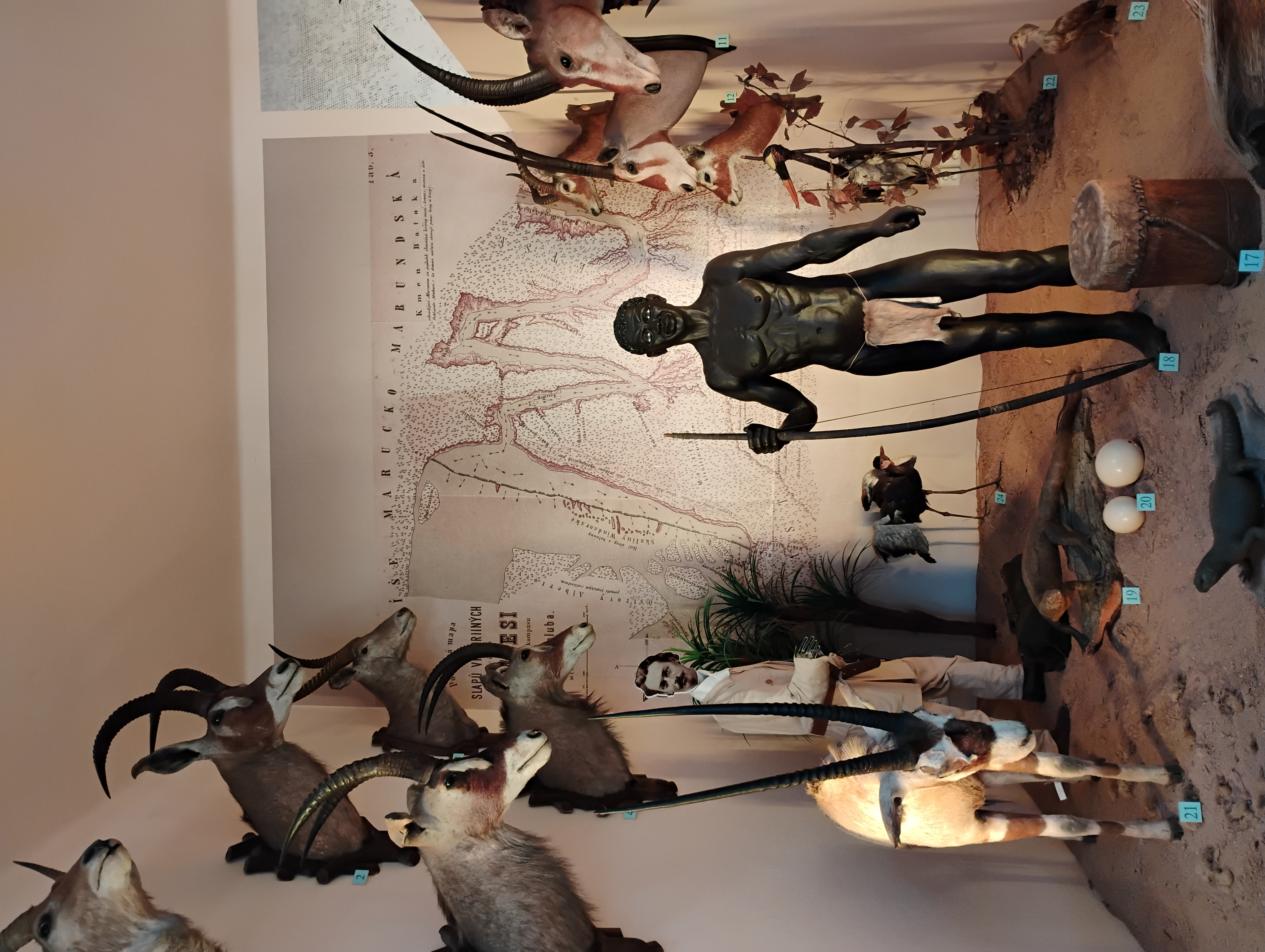 Africké muzeum Dr. Emila Holuba foto 5