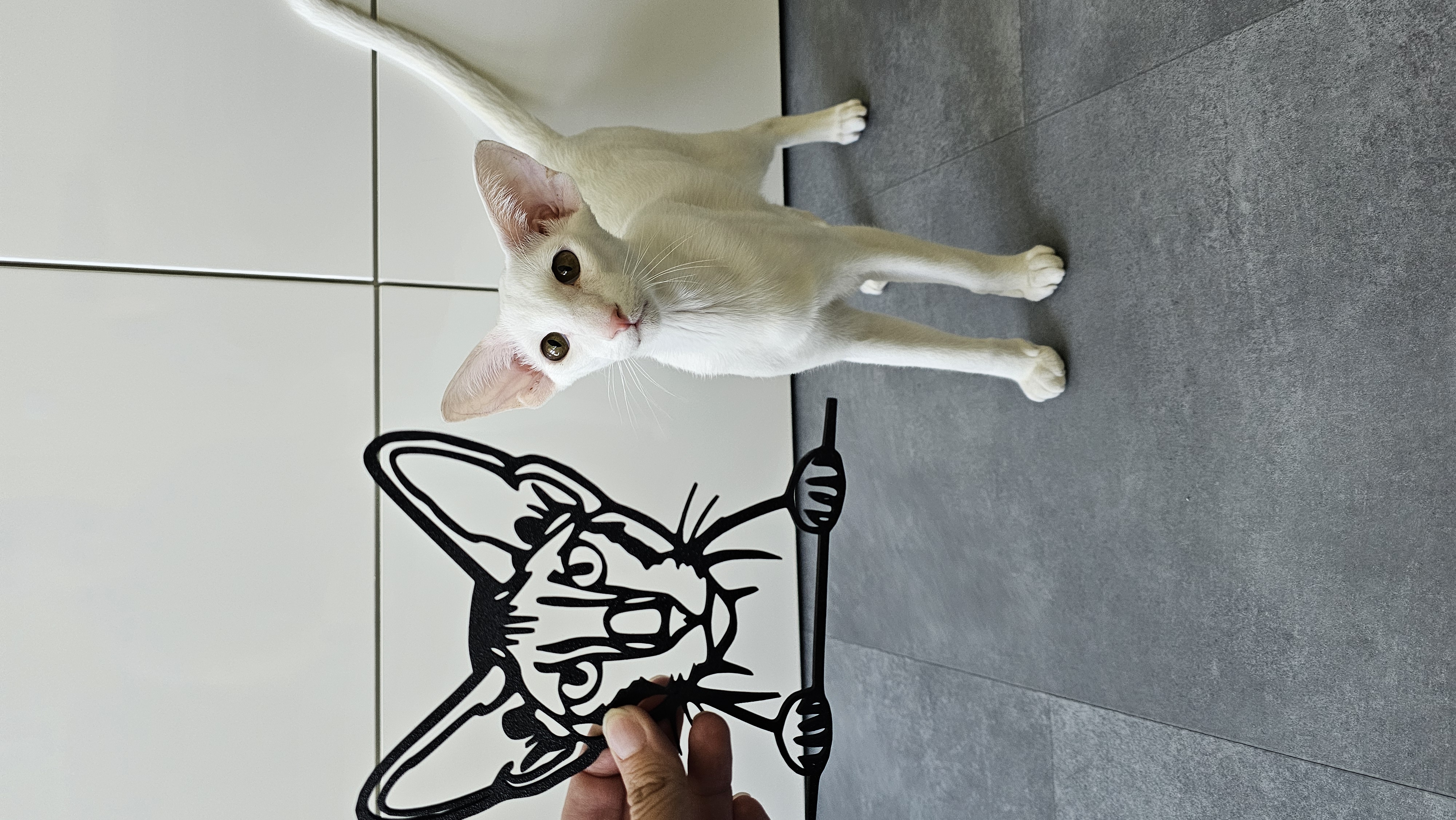Lucky Plasty foto 5