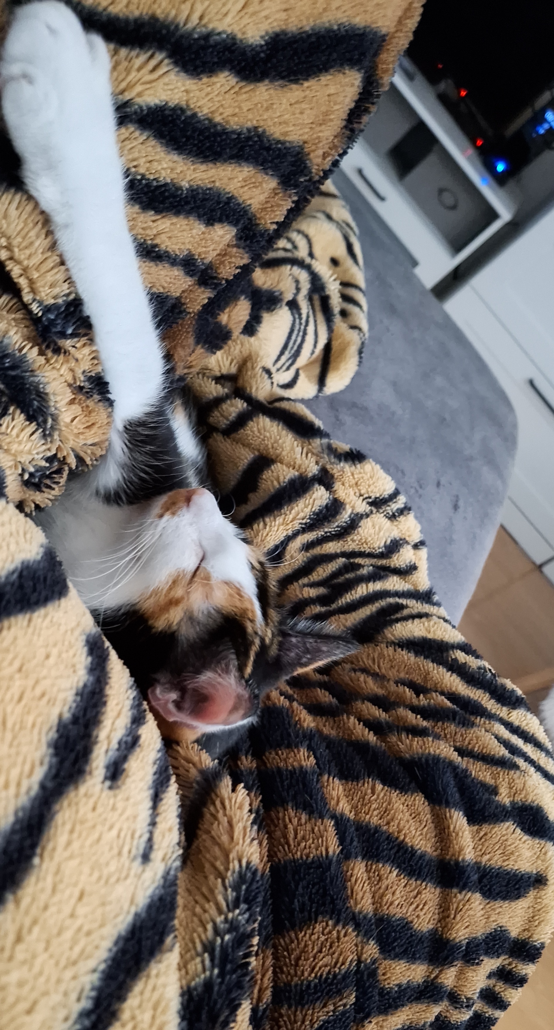 Veterinární klinika Zvířecí doktor foto 2