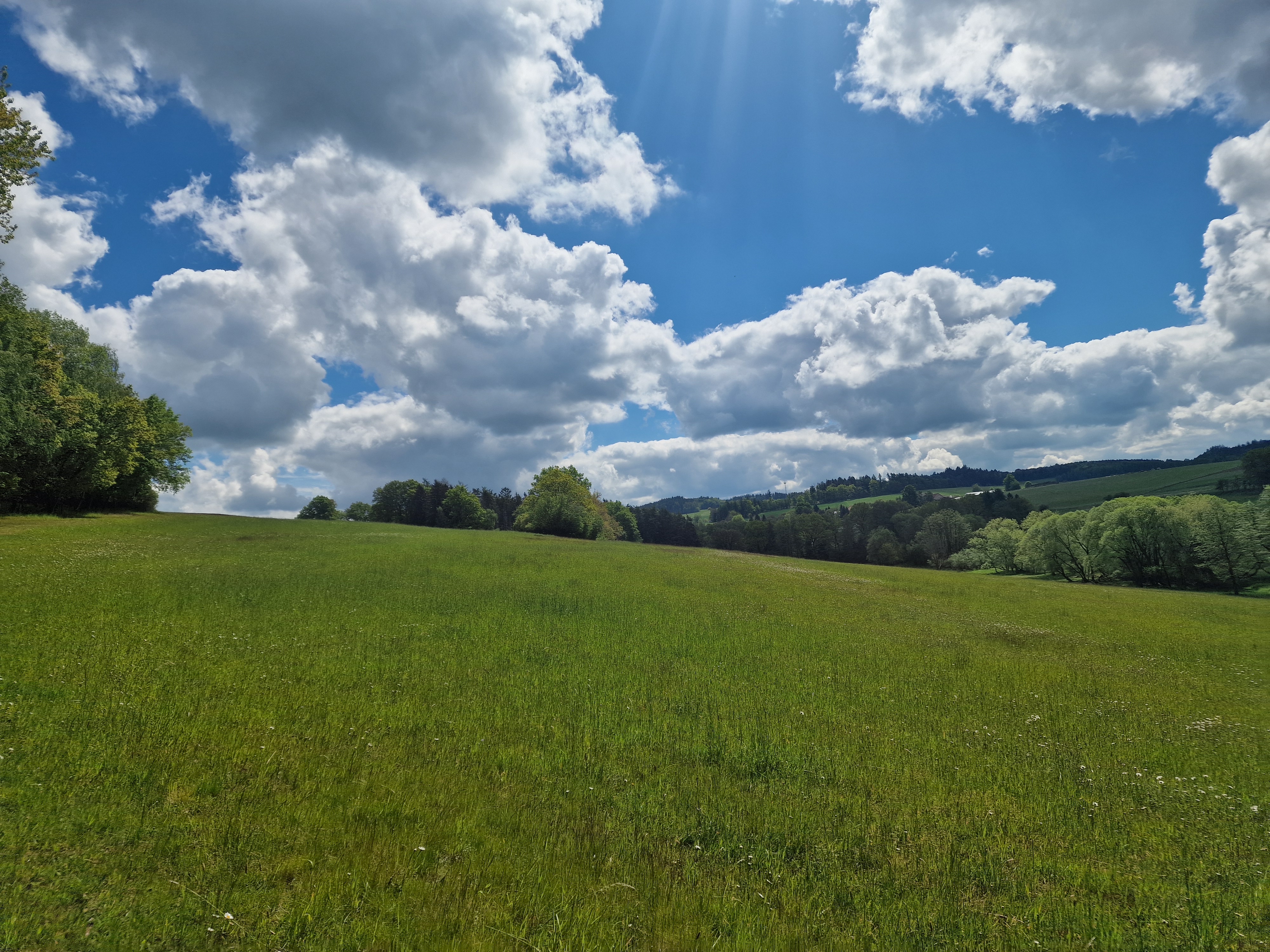Ranch Jestřebice foto 6