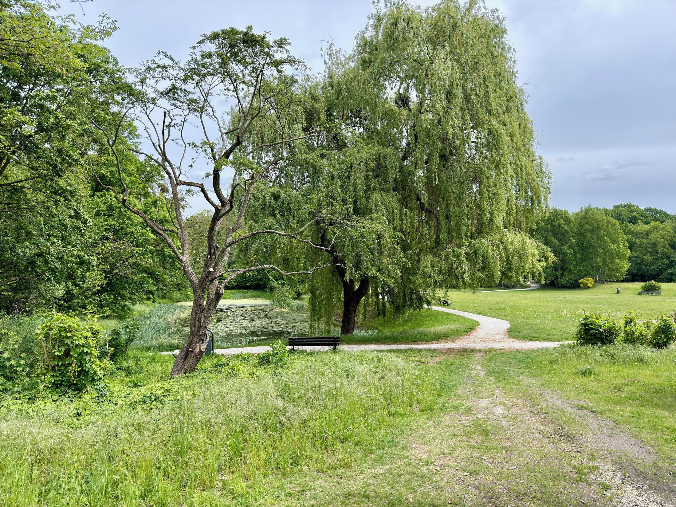 Park Złotnicki we Wrocławiu
