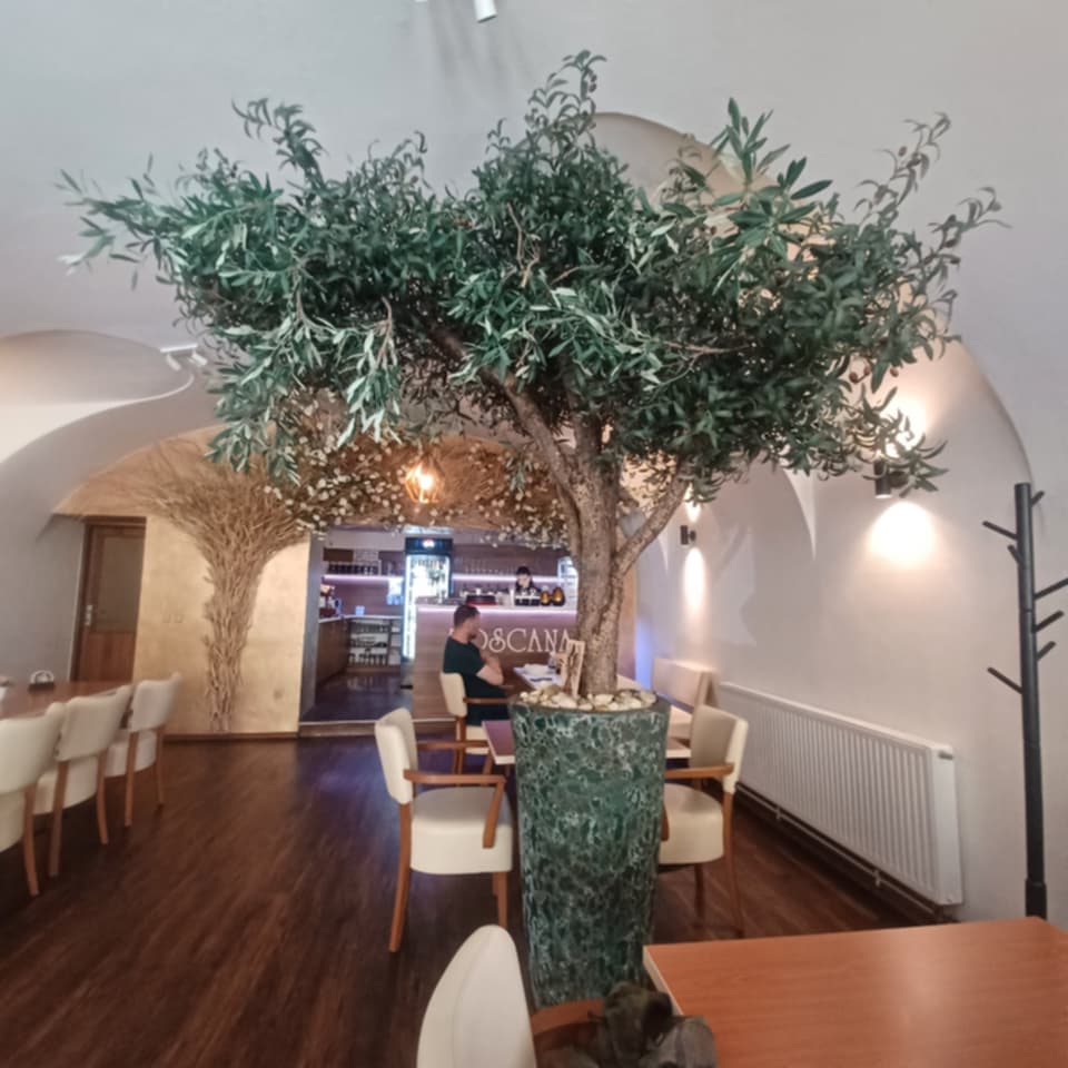 Pizzerie Toscana foto 5