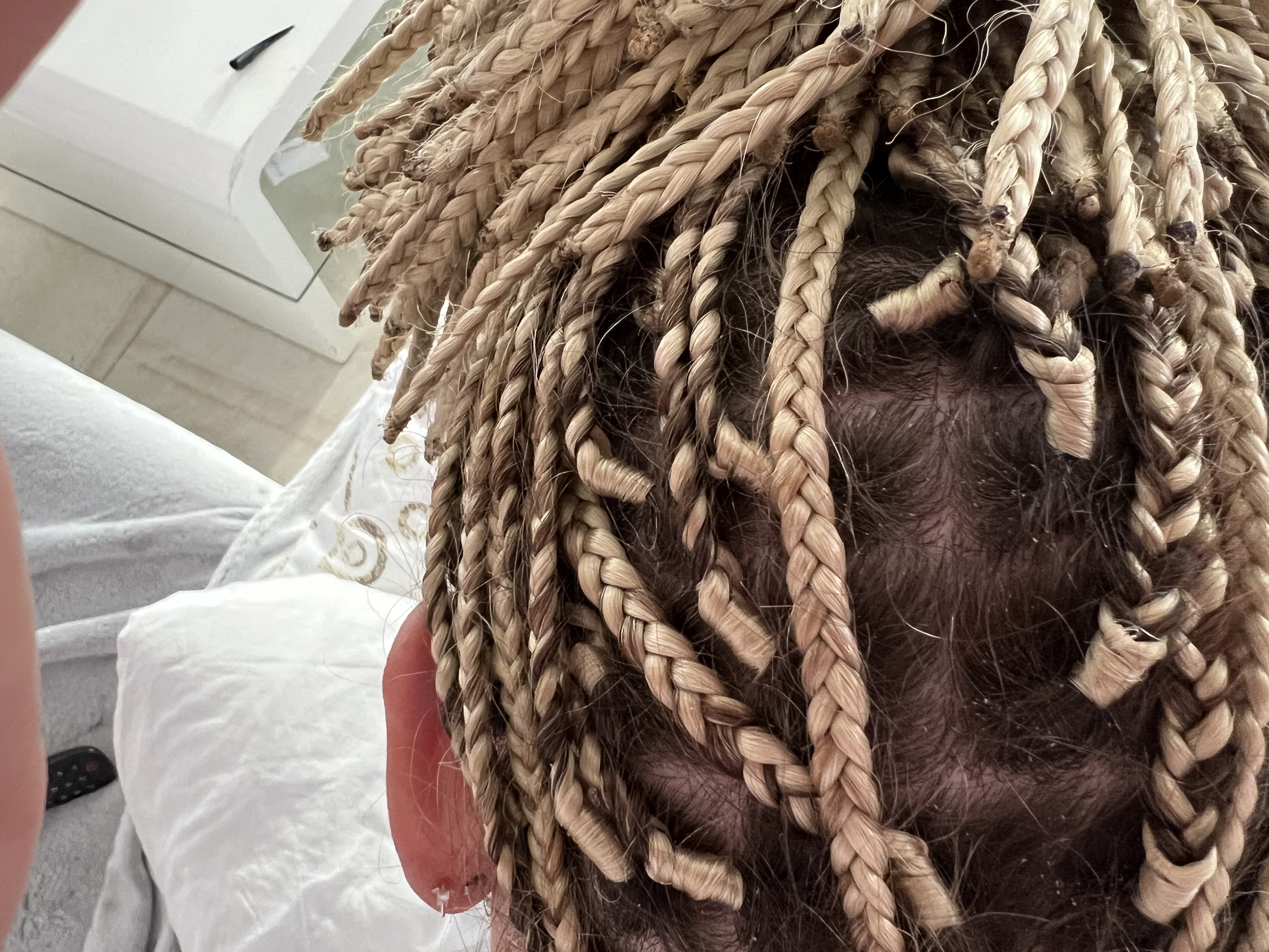 SALON RASTA foto 4