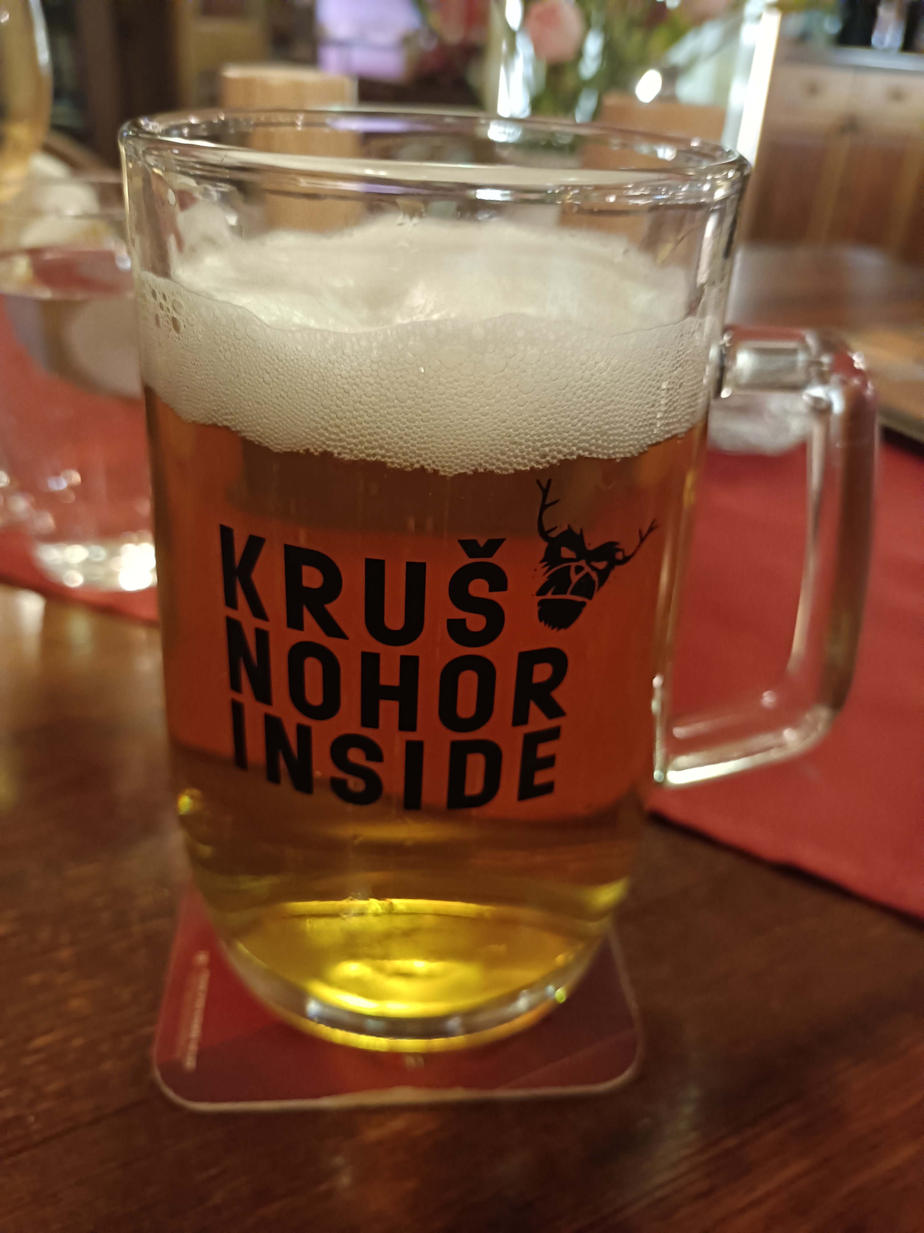 Restaurant Švejk foto 6