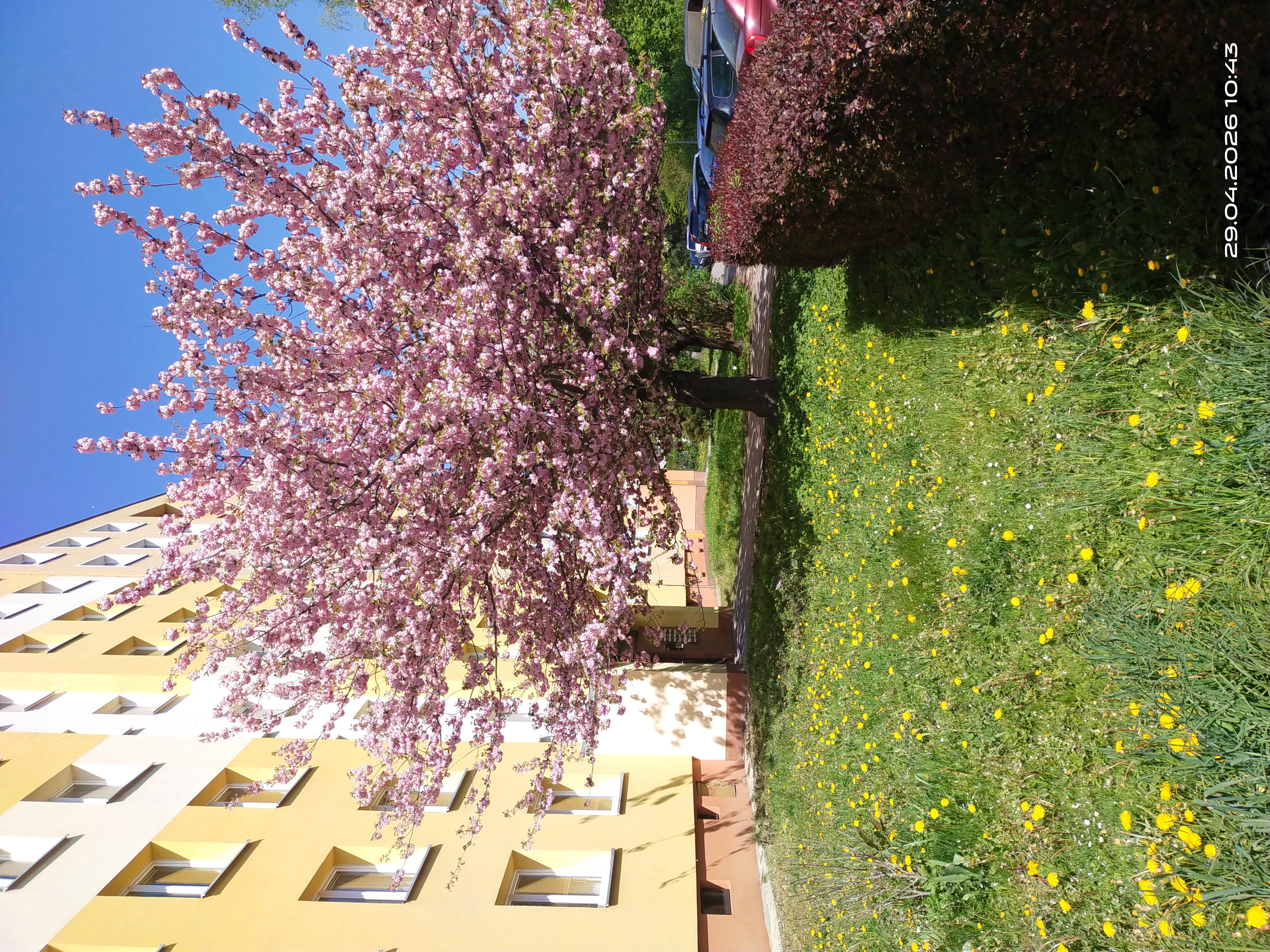 AZet reality foto 4