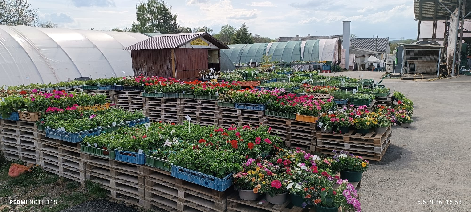 Rodinná farma Šlapanice foto 3