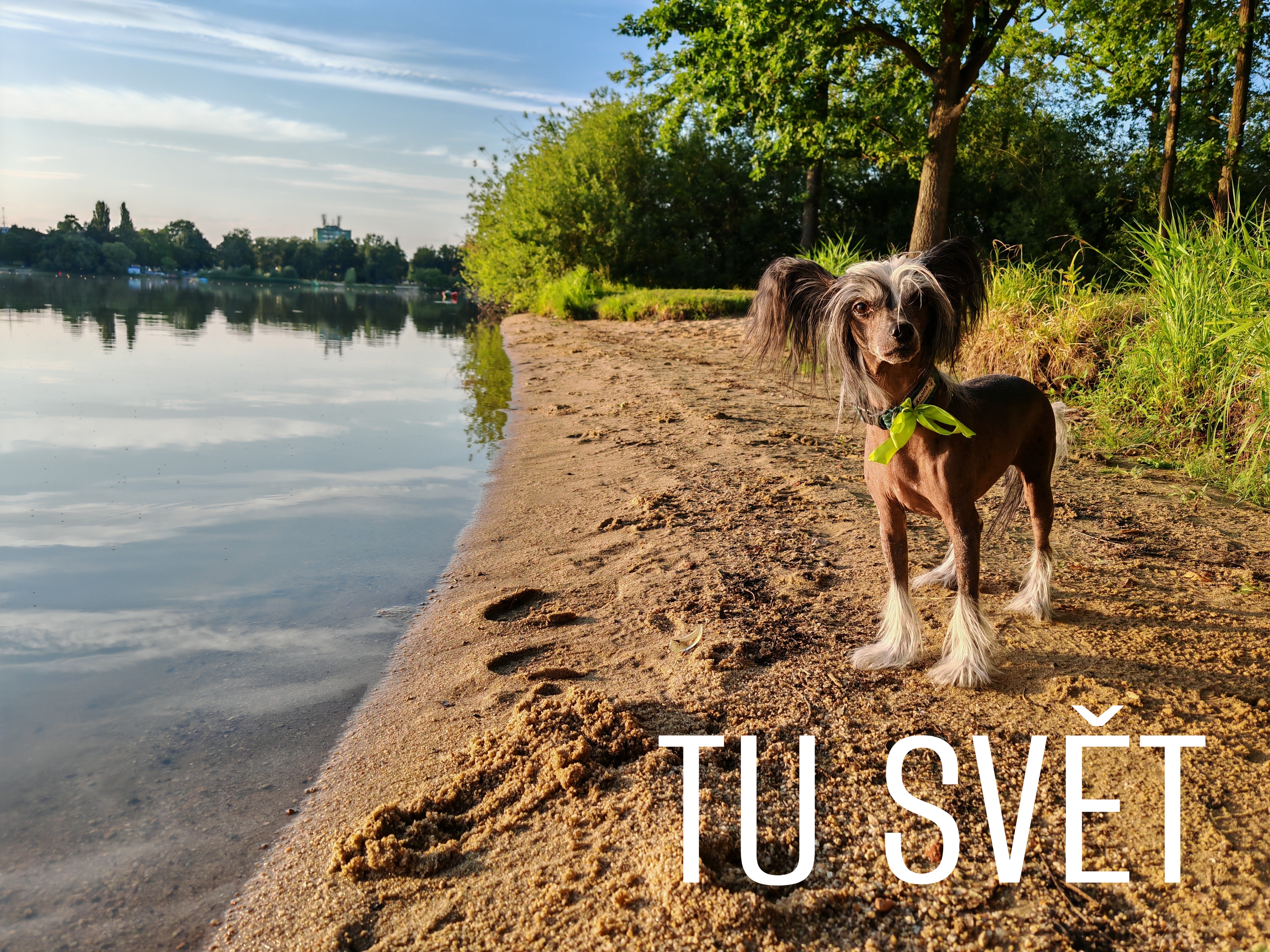 Penzion U Sýkorů foto 3