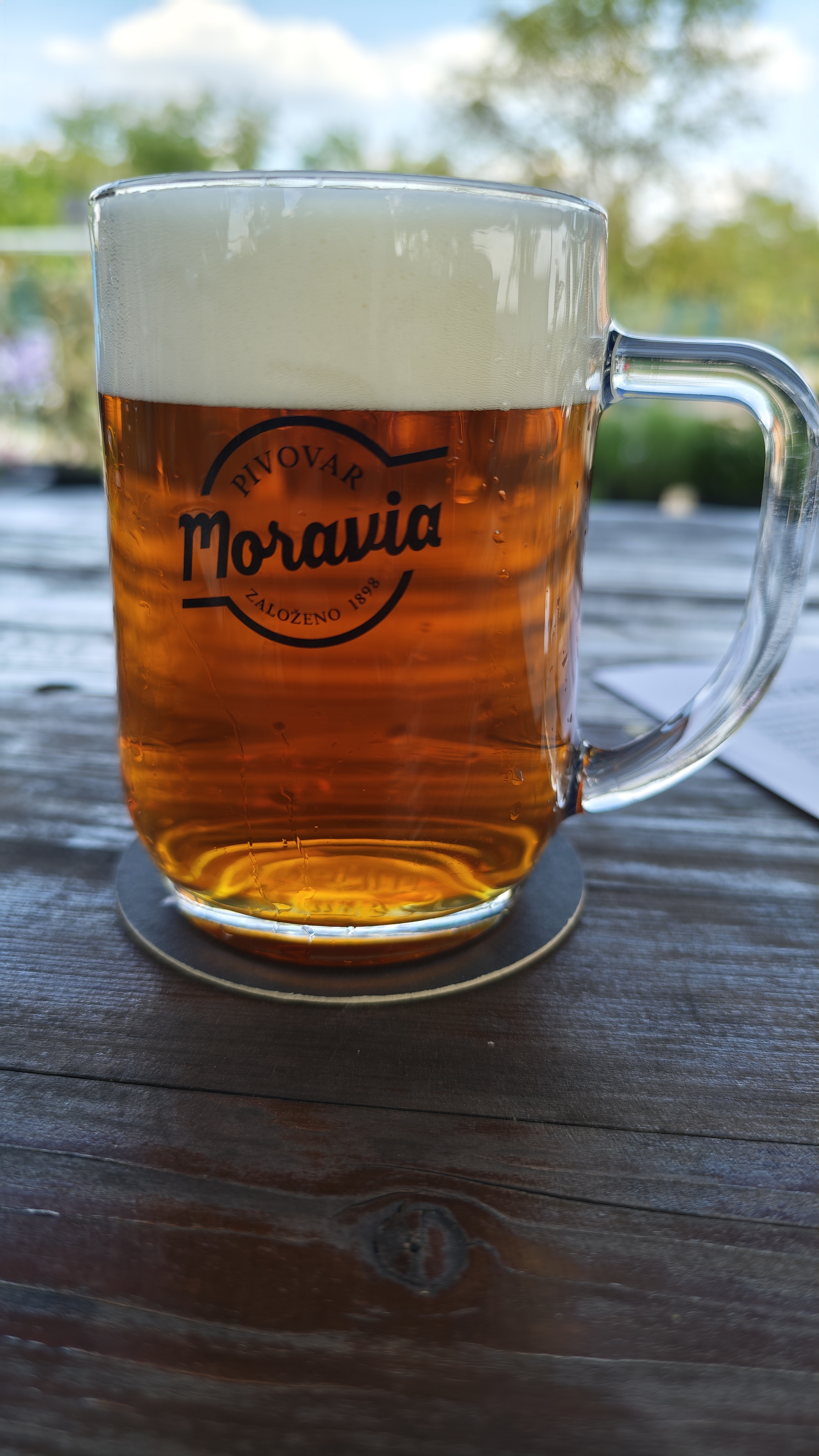 Zahrada Nové Mlýny - Přítluky foto 2