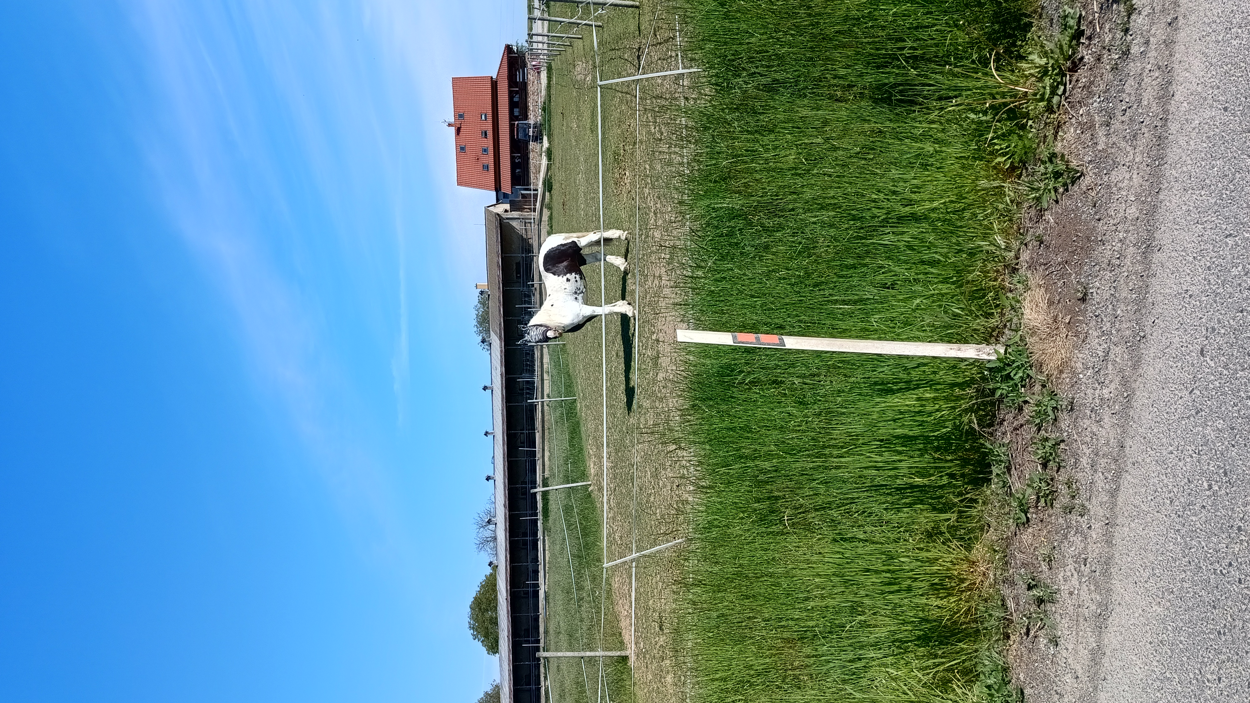 Poláček Farma Hole, s.r.o. foto 1