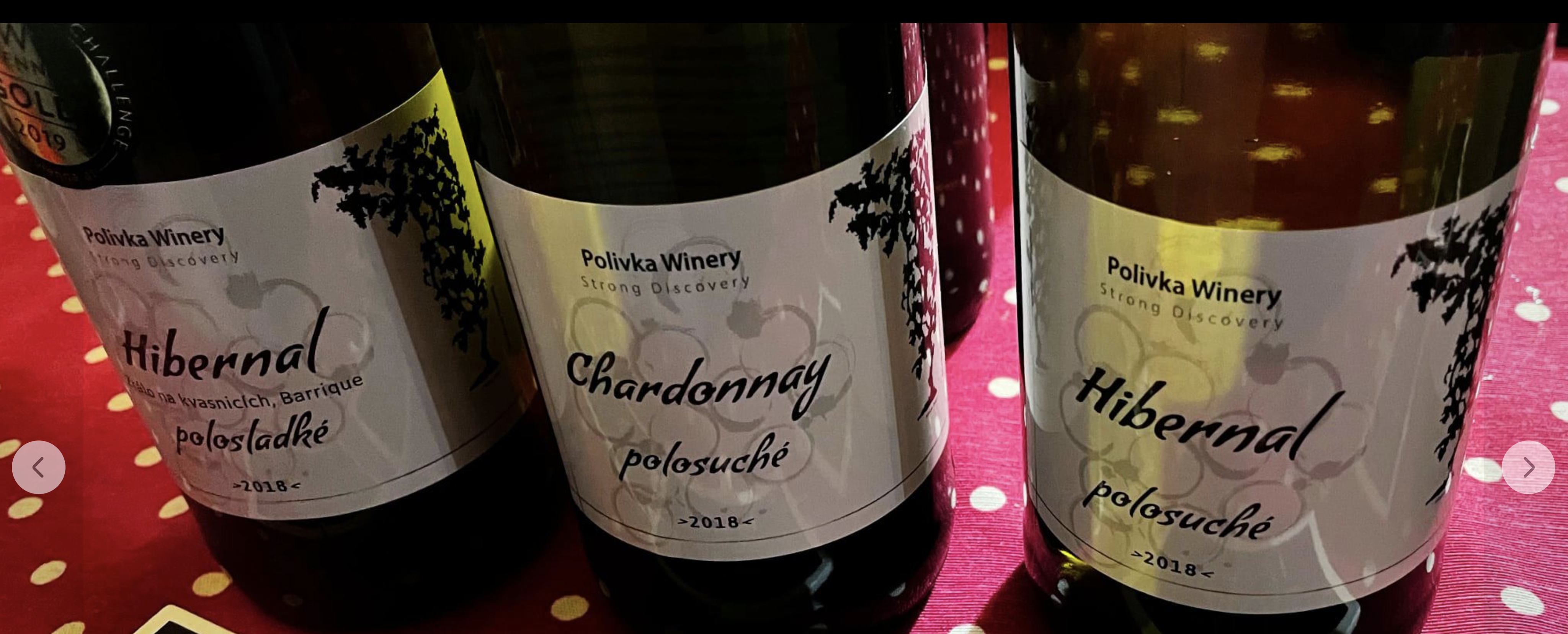 Polivka Winery foto 1