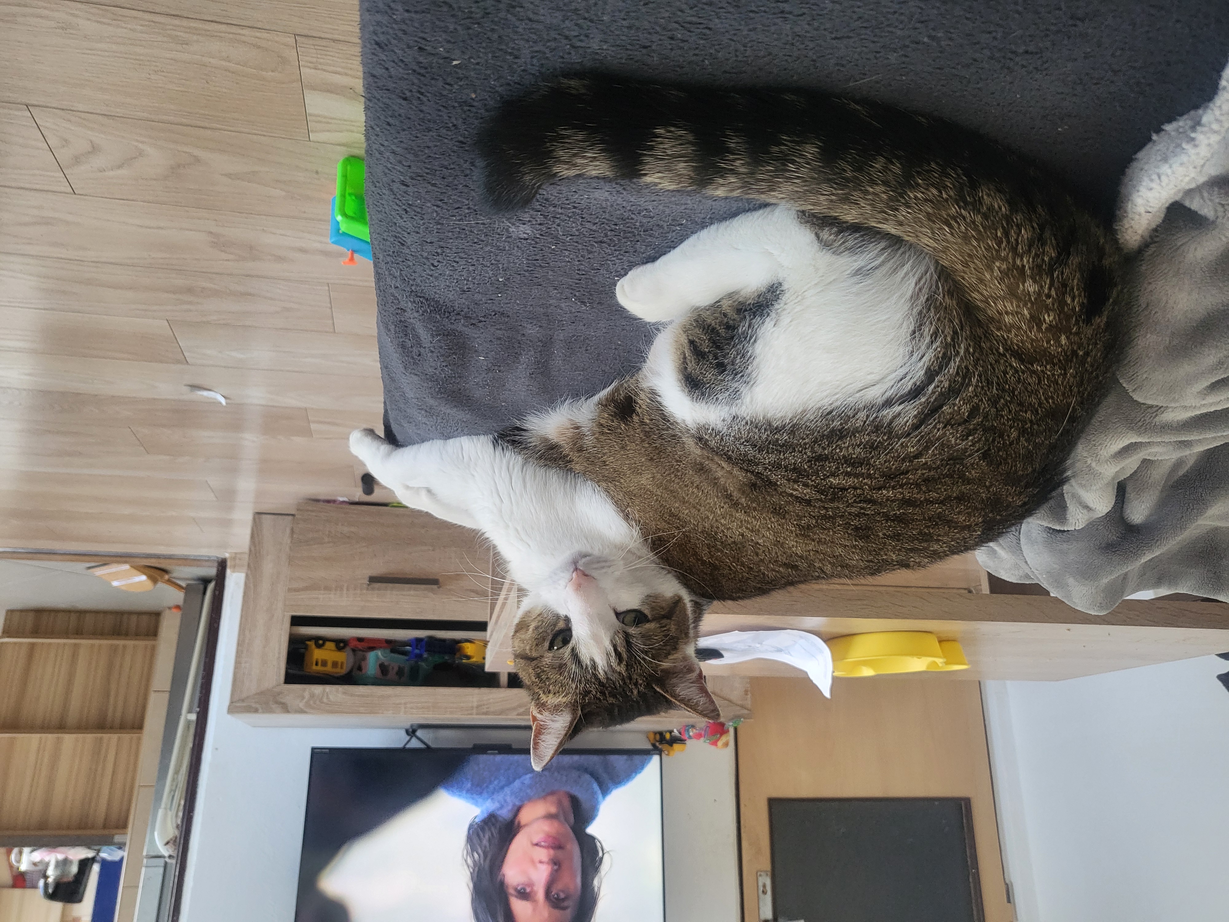 Veterinární klinika Chotěboř foto 2