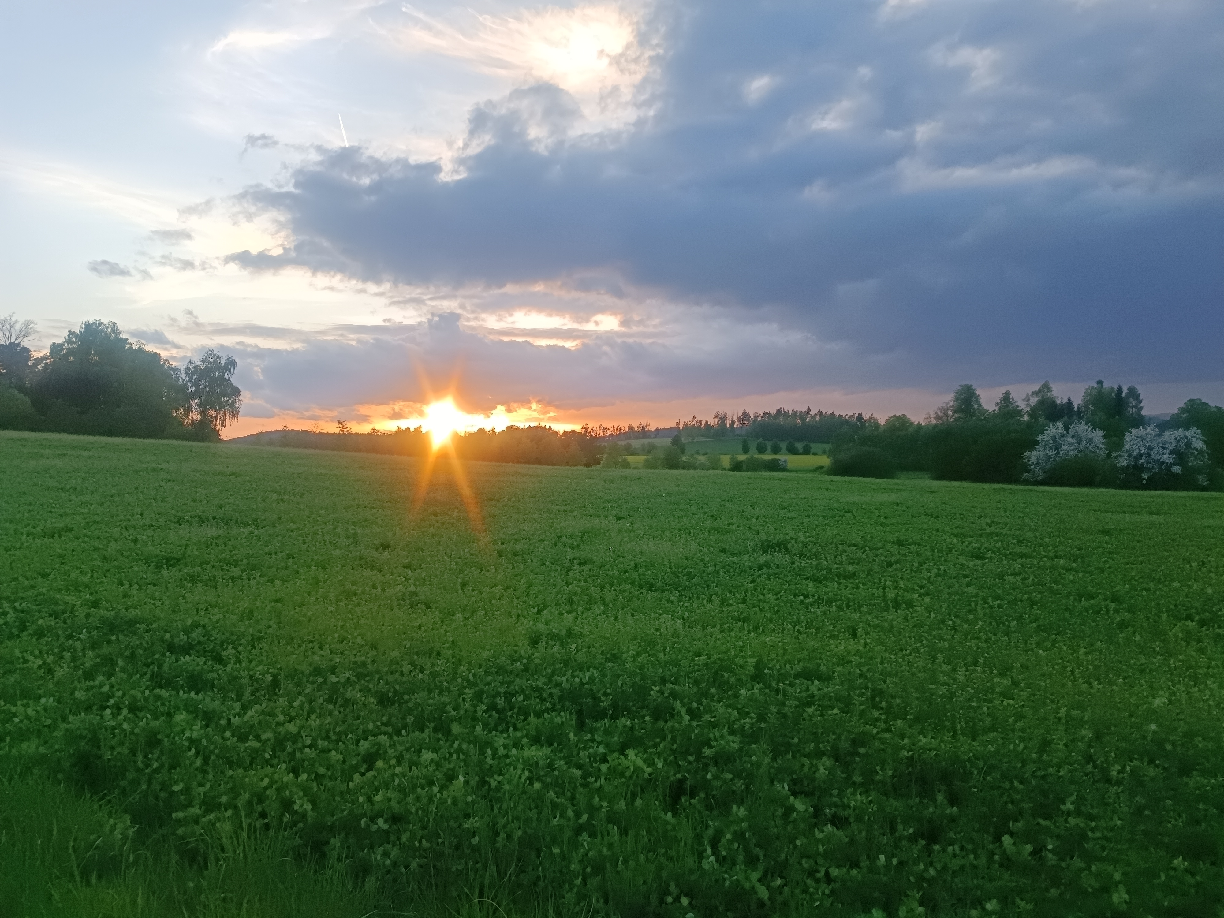 Včelí farma Nosek foto 2