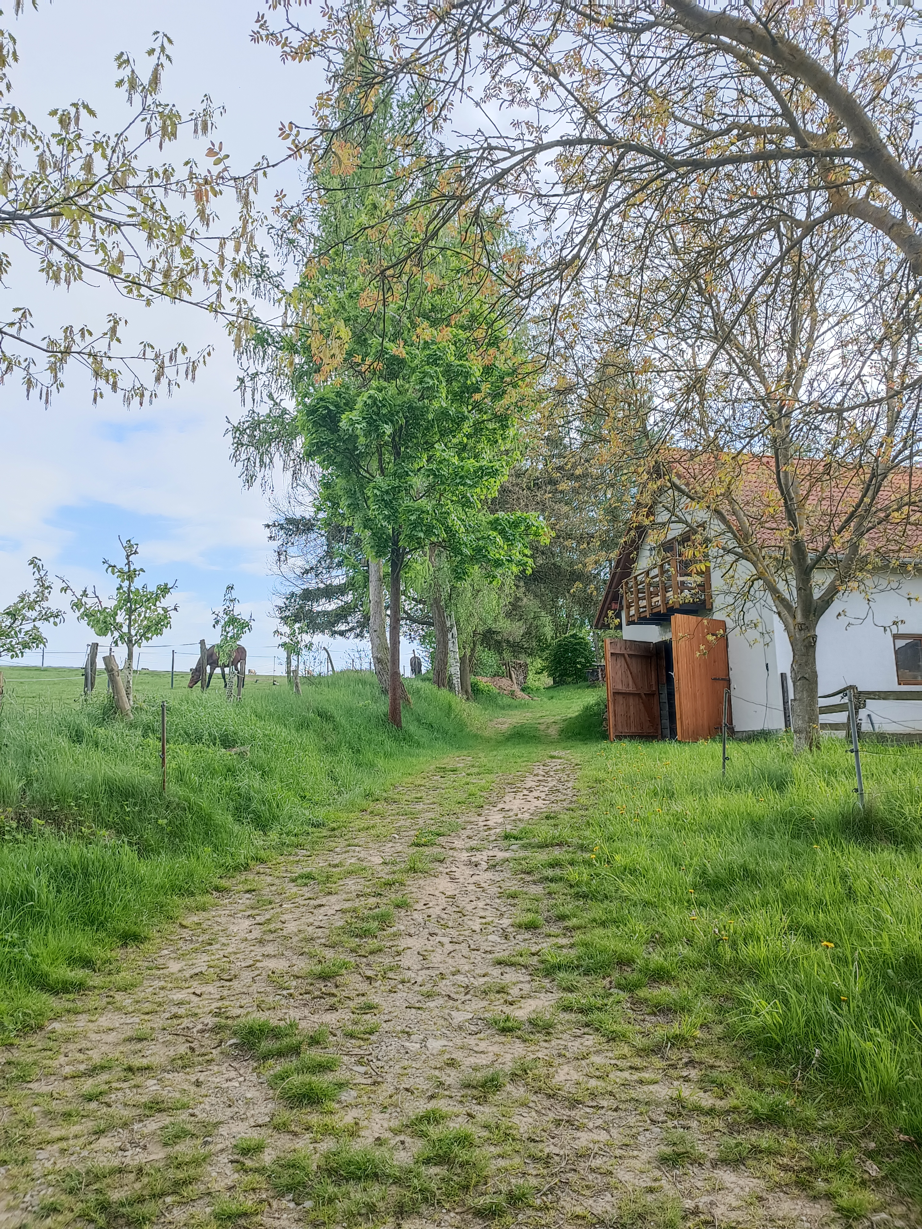 Včelí farma Nosek foto 4