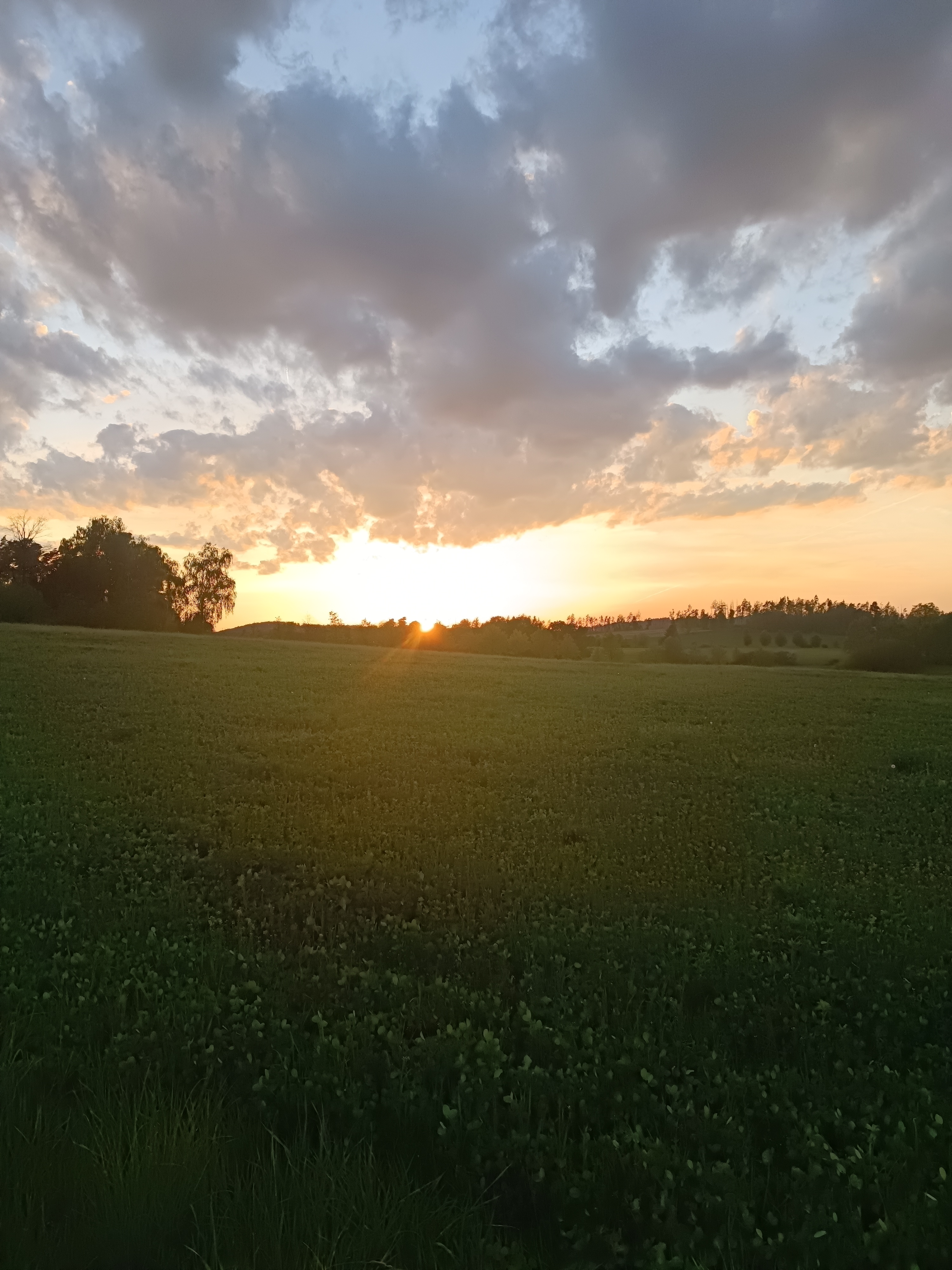 Včelí farma Nosek foto 6