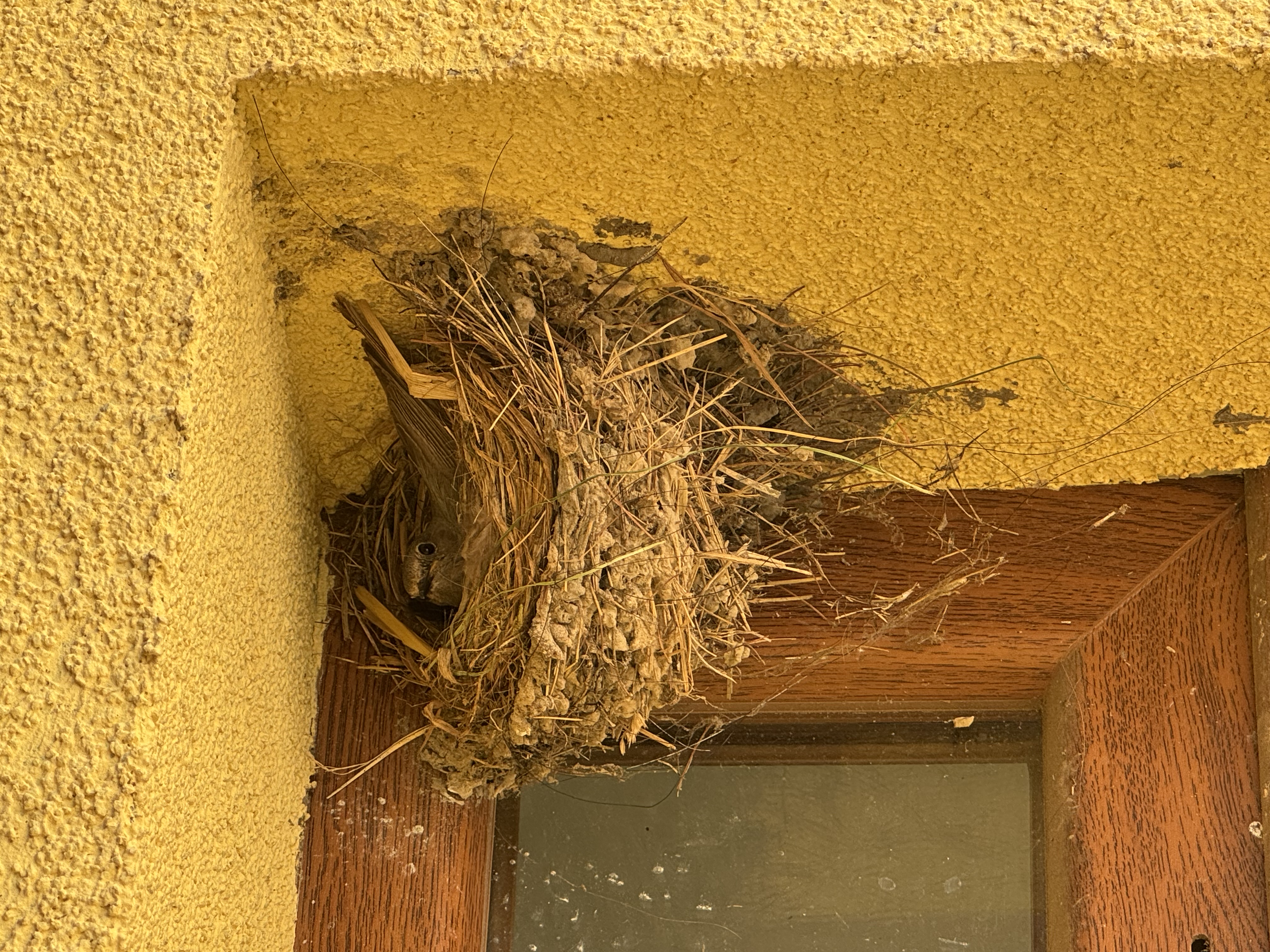 APARTMAN FARMA HRADEC foto 5