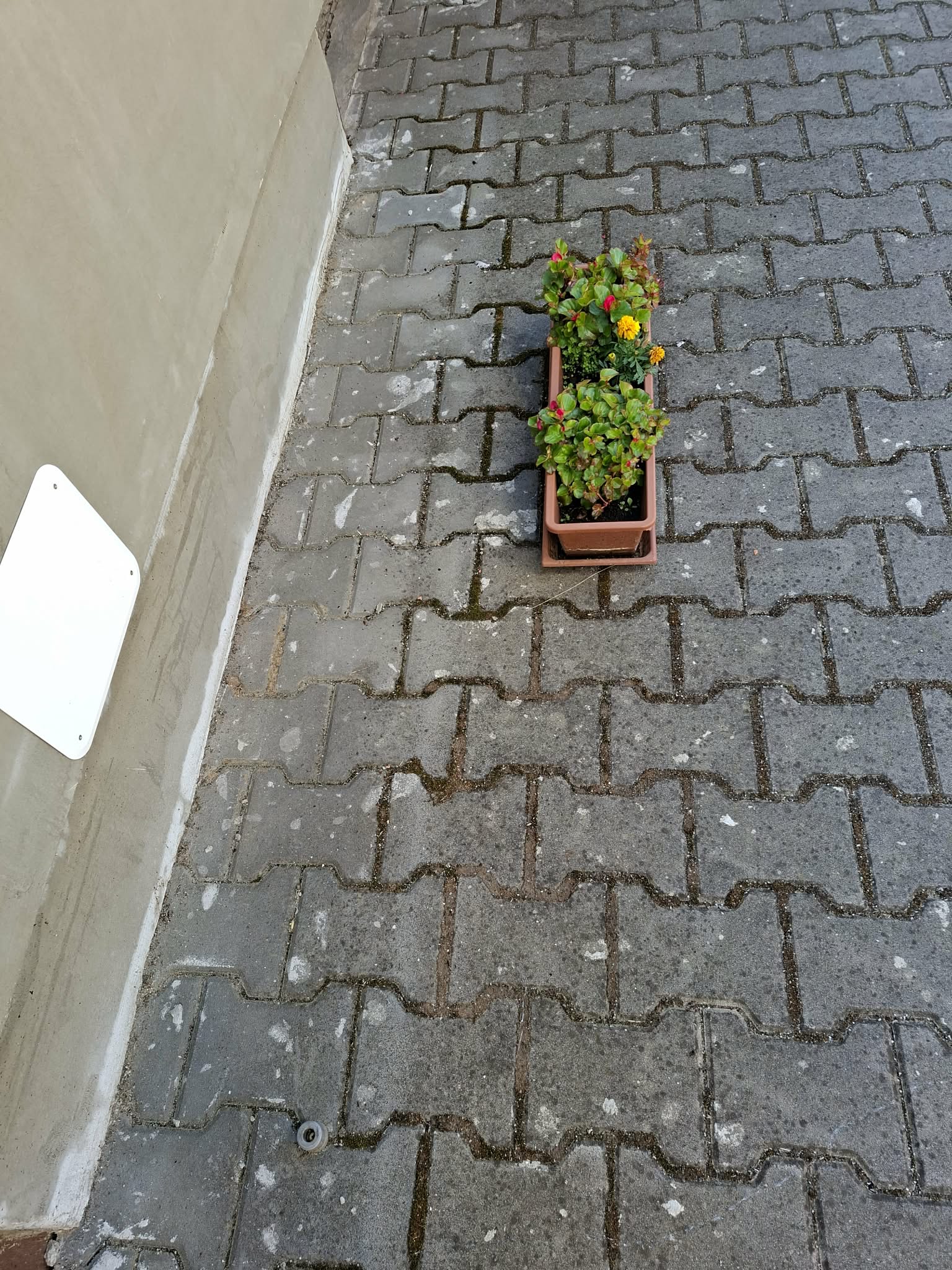 Malířské a natěračské práce Aleš Jurkovič foto 1