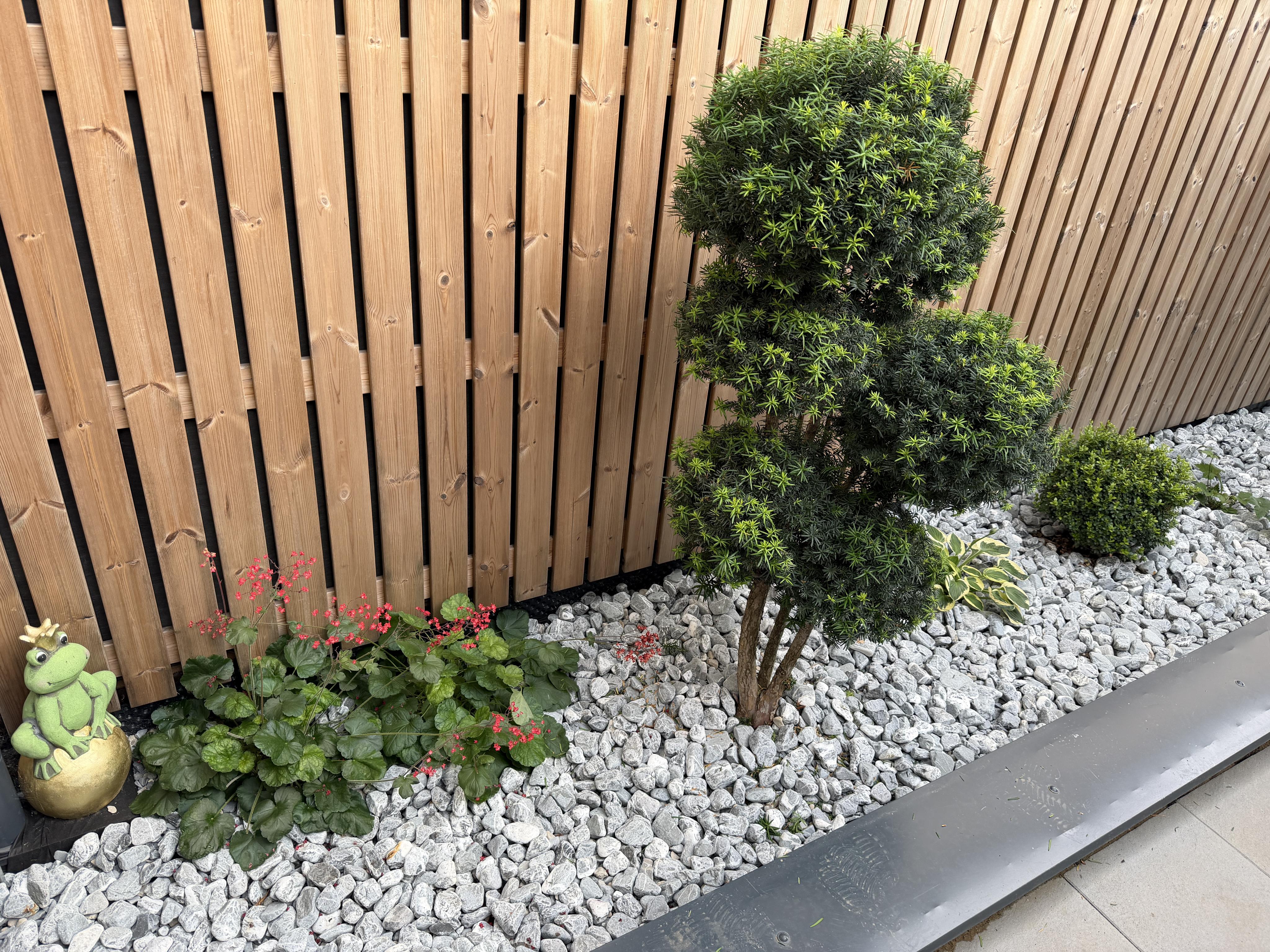 Arboretum foto 2