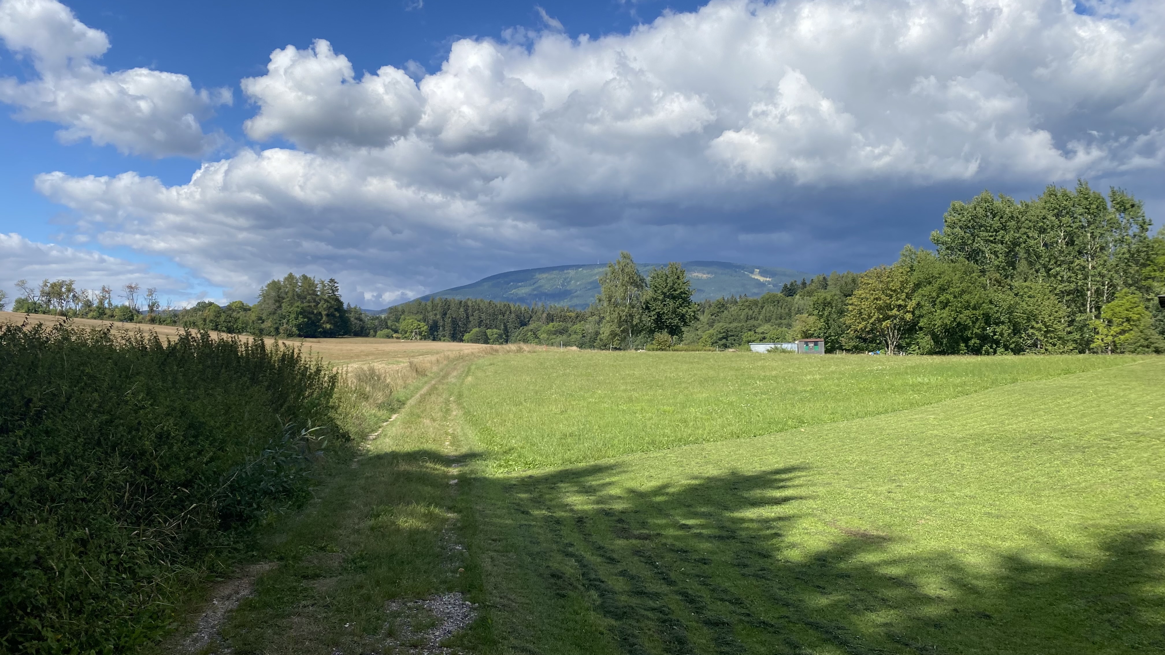 Roubenka Veverka foto 5