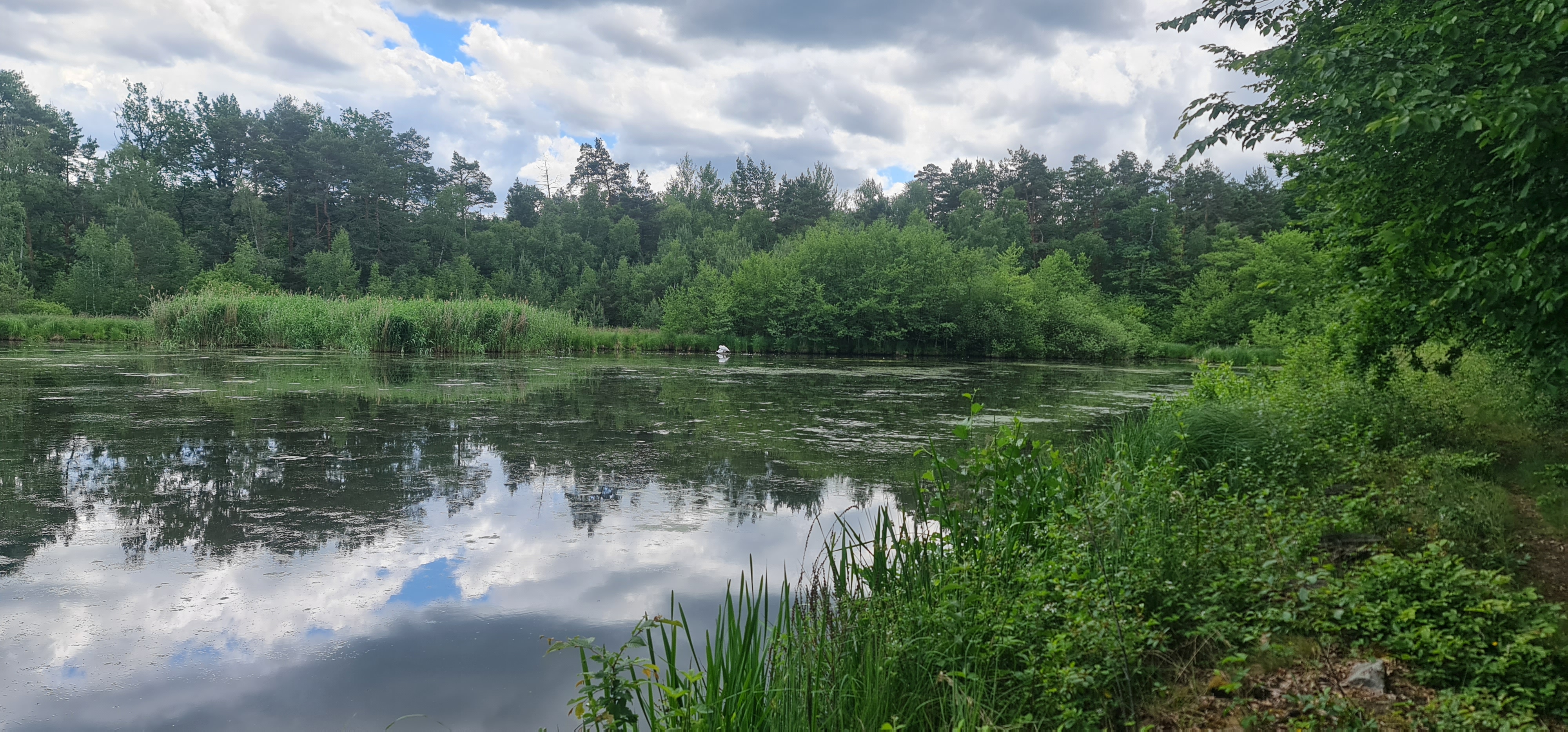 Chalupa u lesa s koupacím jezírkem foto 1
