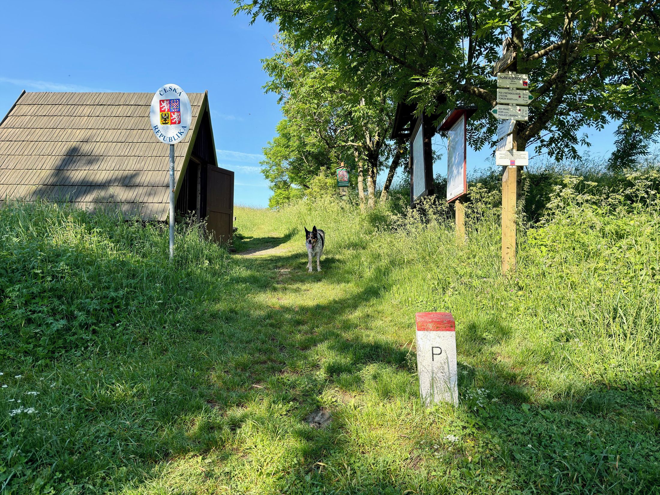 Niedamirów Horni Alberice