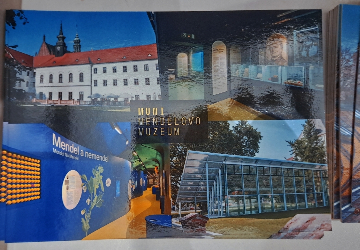 Mendelovo muzeum Masarykovy univerzity foto 3