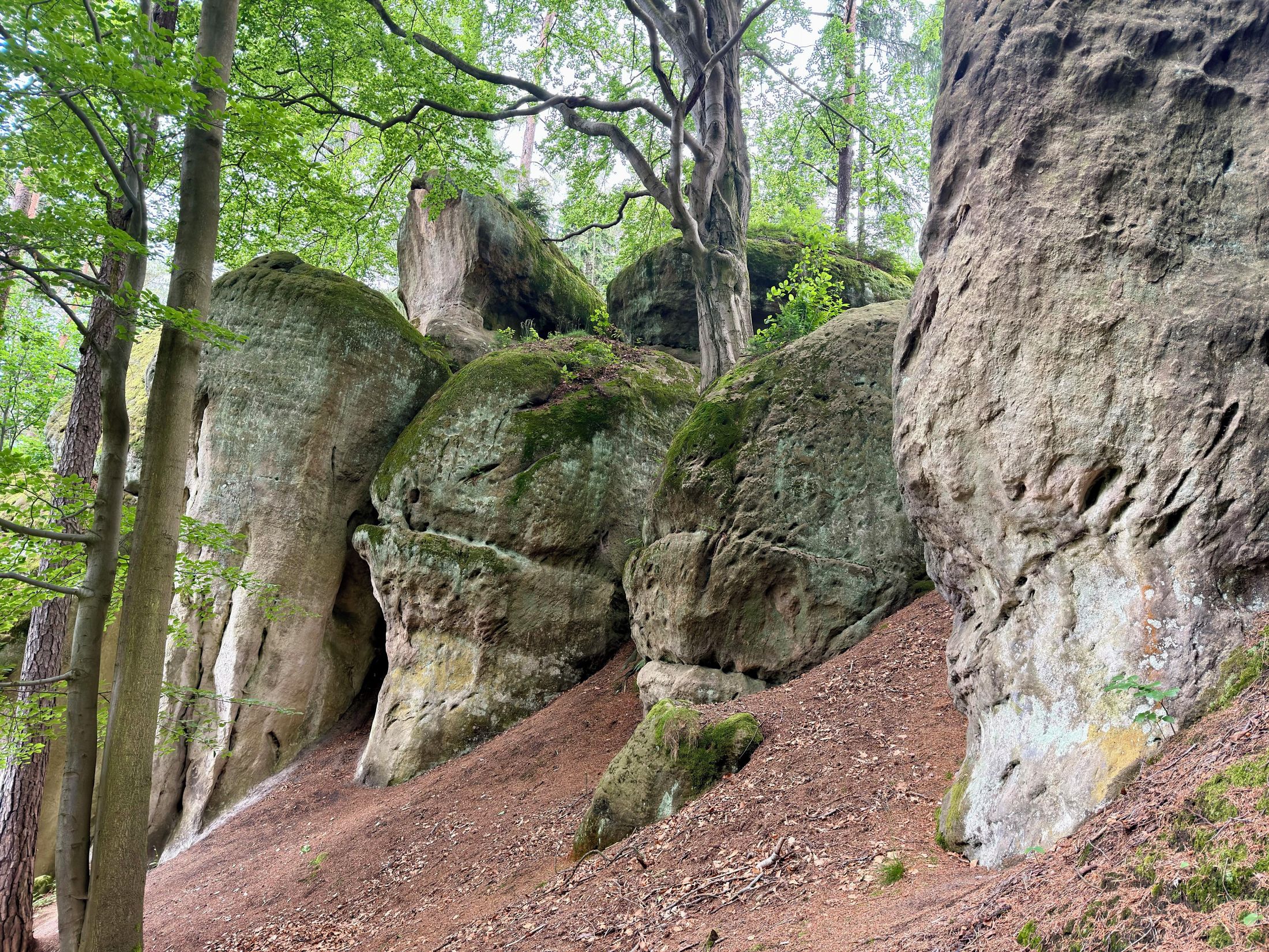 Gorzeszowskie Skałki