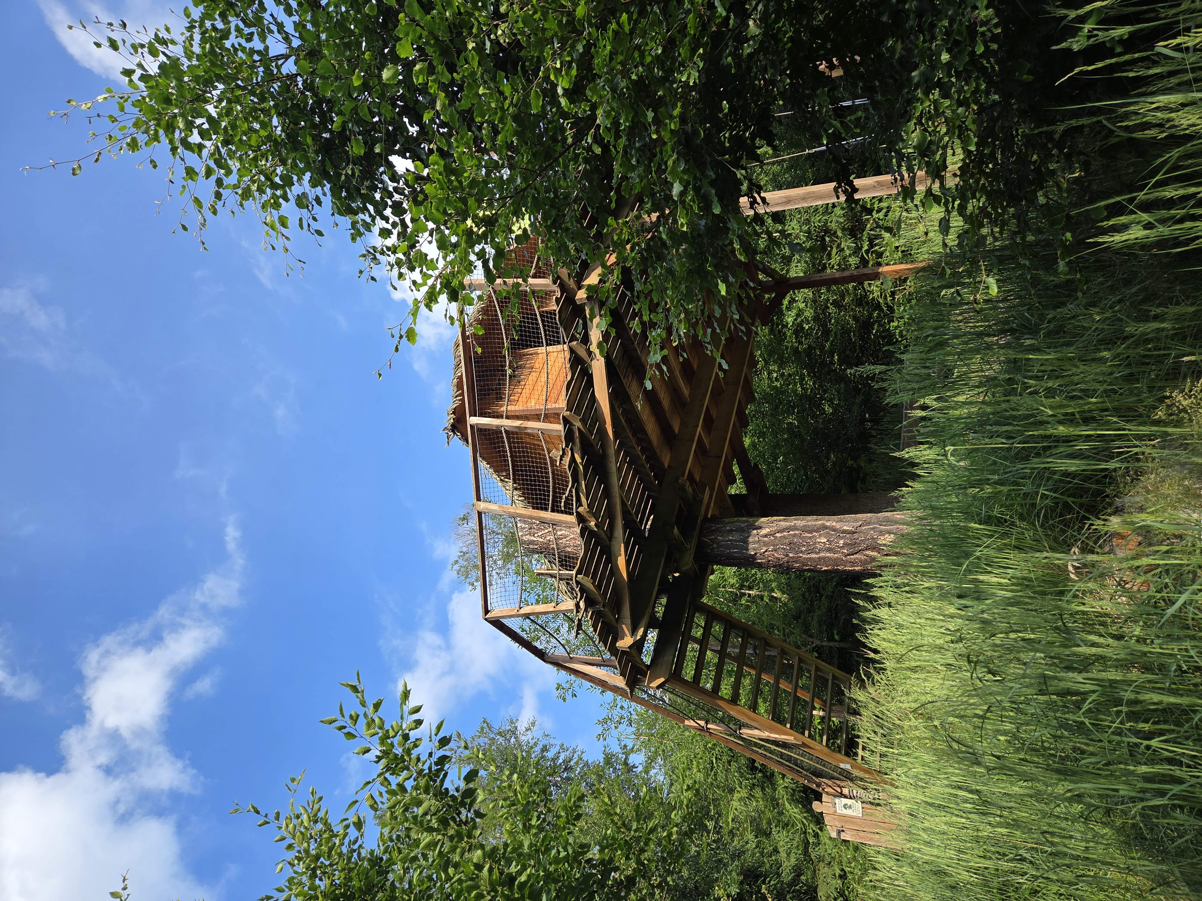 Tree House U Jezevce foto 6
