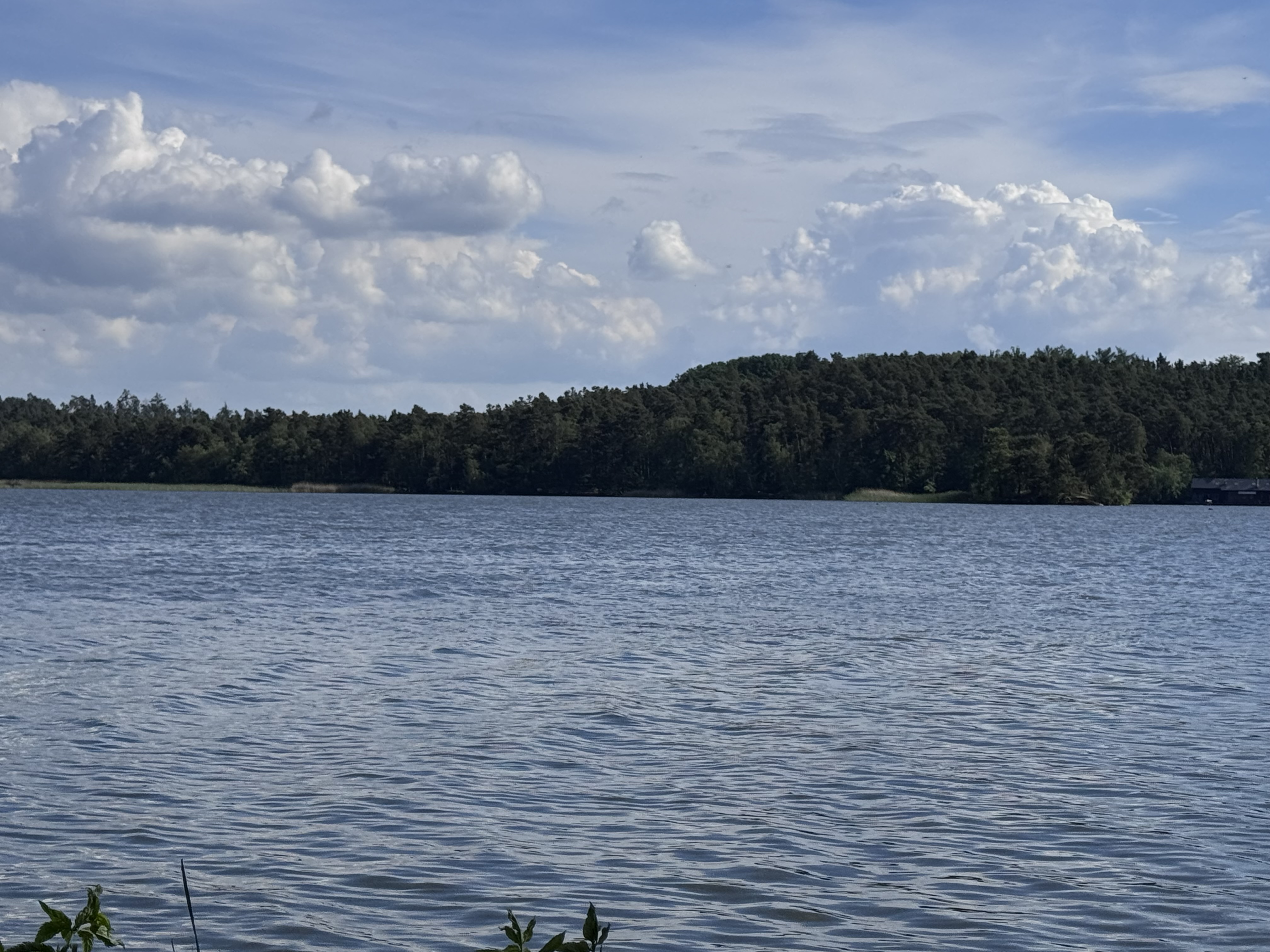 Camp Borný foto 5