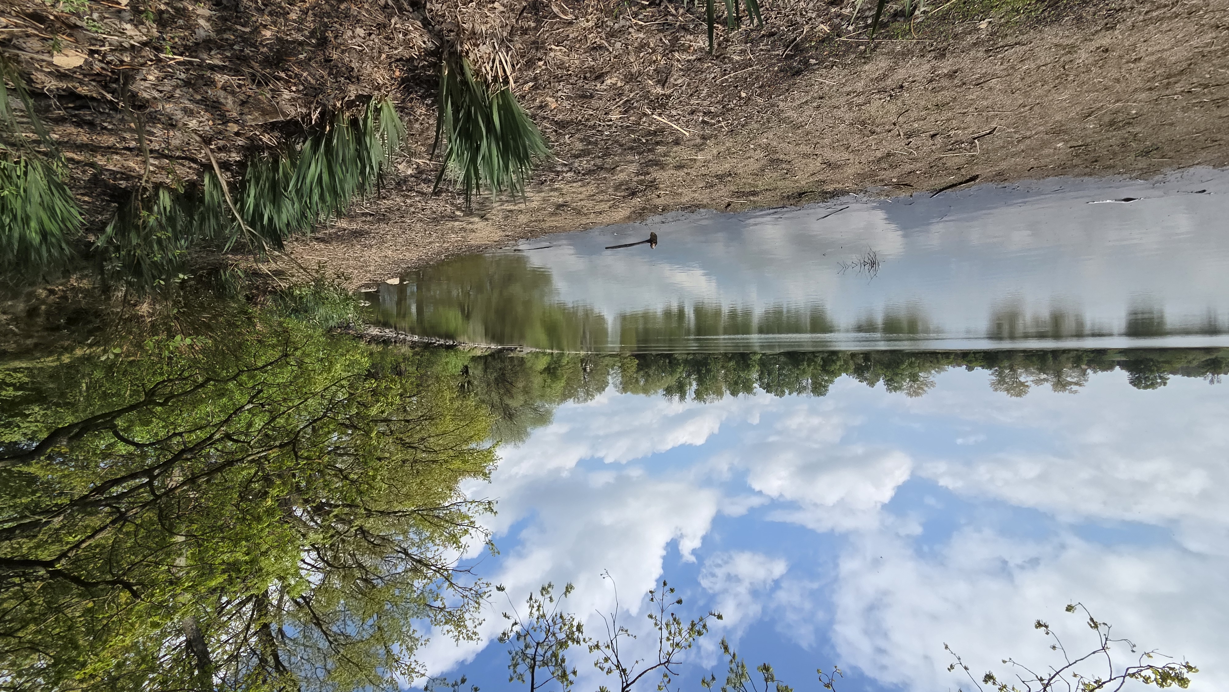 Pod Kempem – Rekreační a školící středisko foto 2
