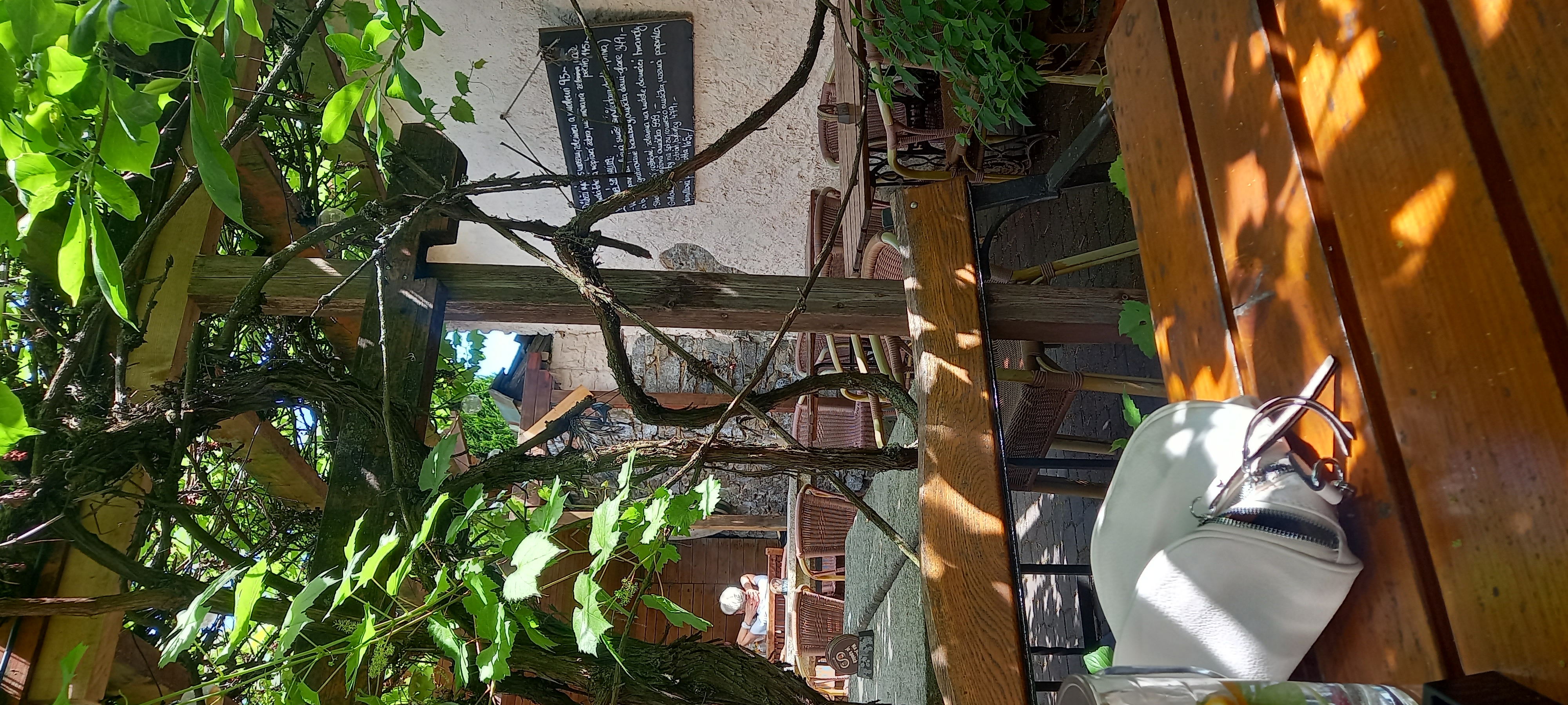Restaurace U Anežky foto 5