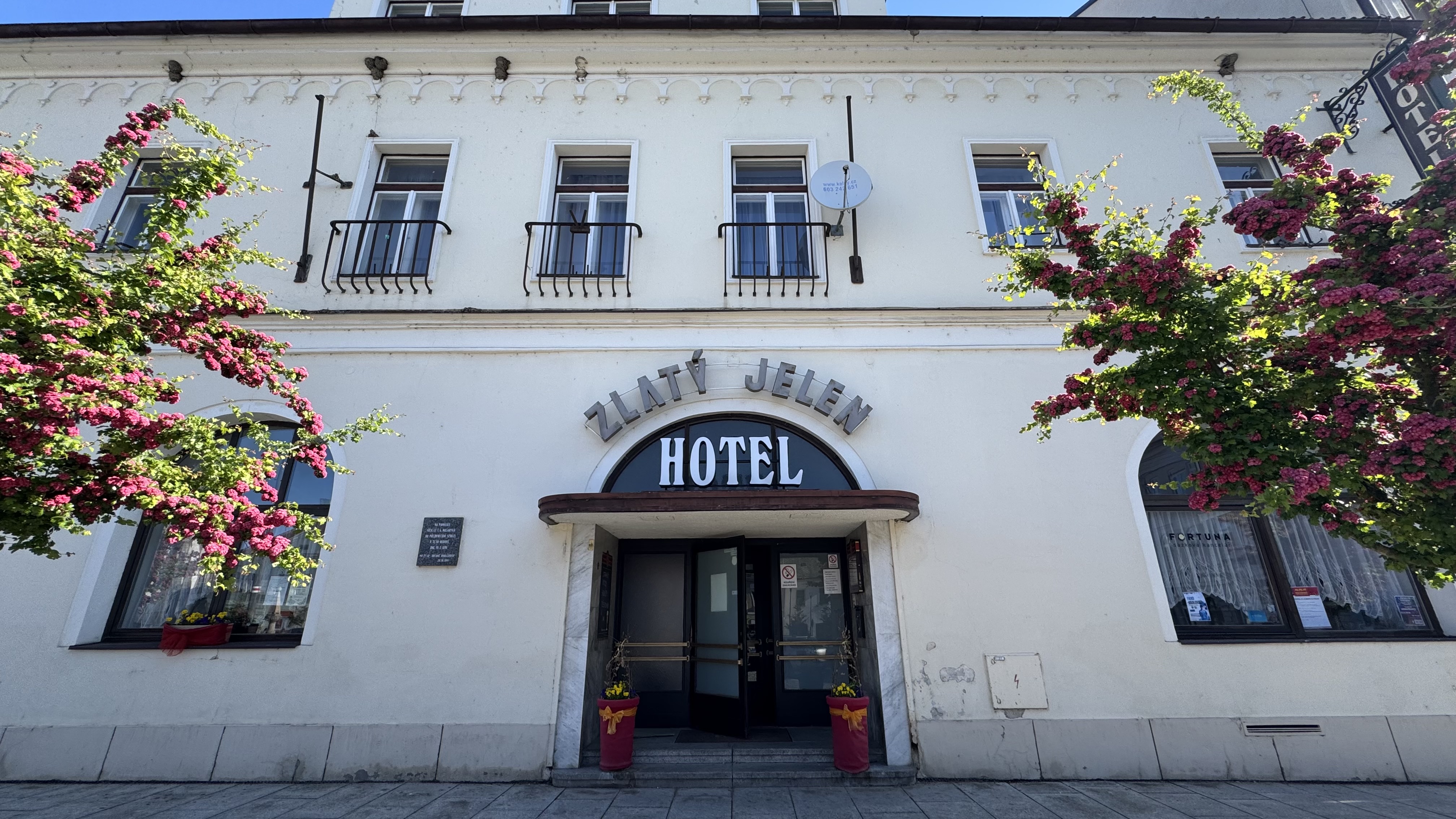 Hotel Zlatý Jelen foto 3
