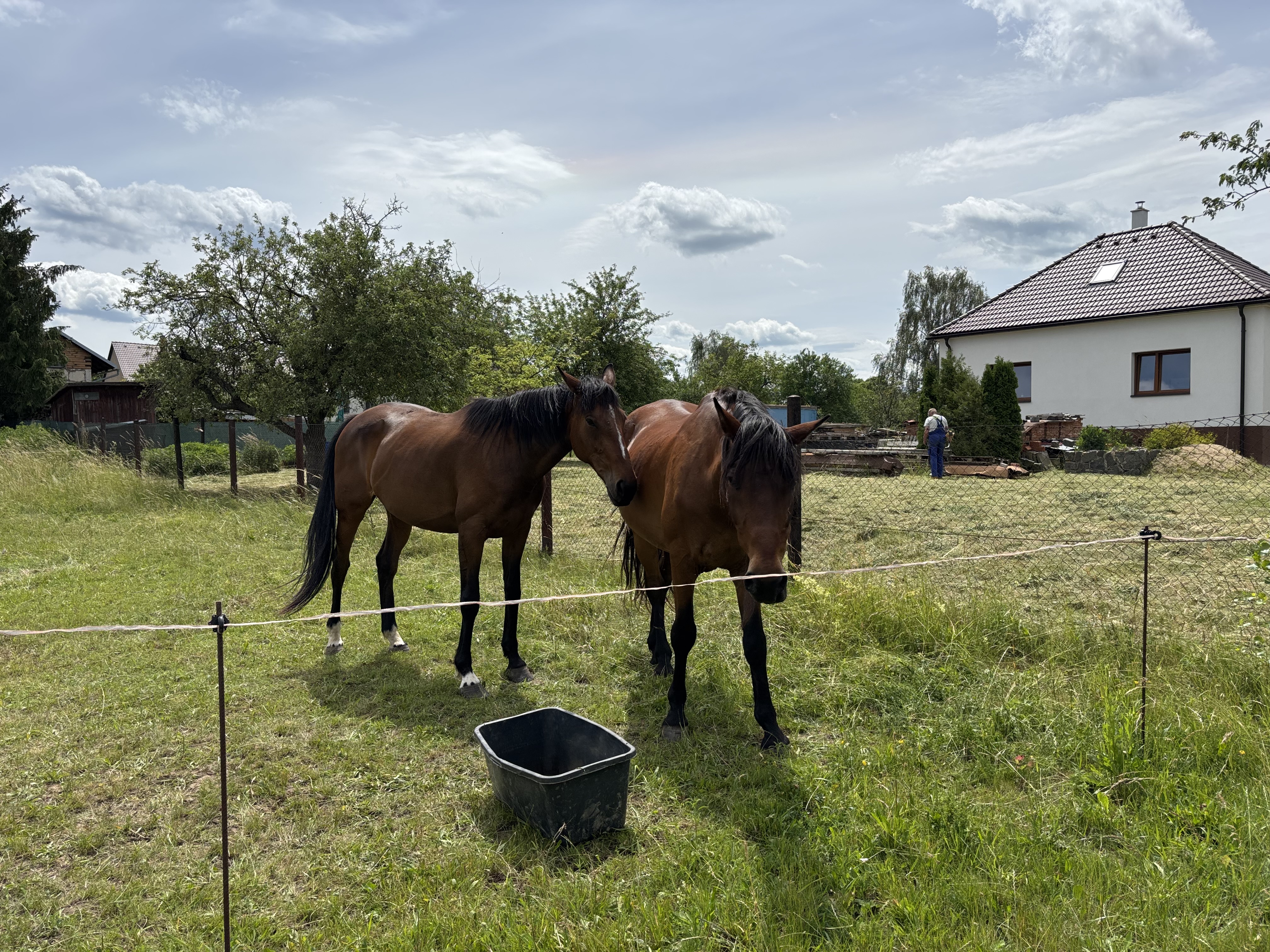 Dřevěná Exotika na ranči Bítovany foto 2